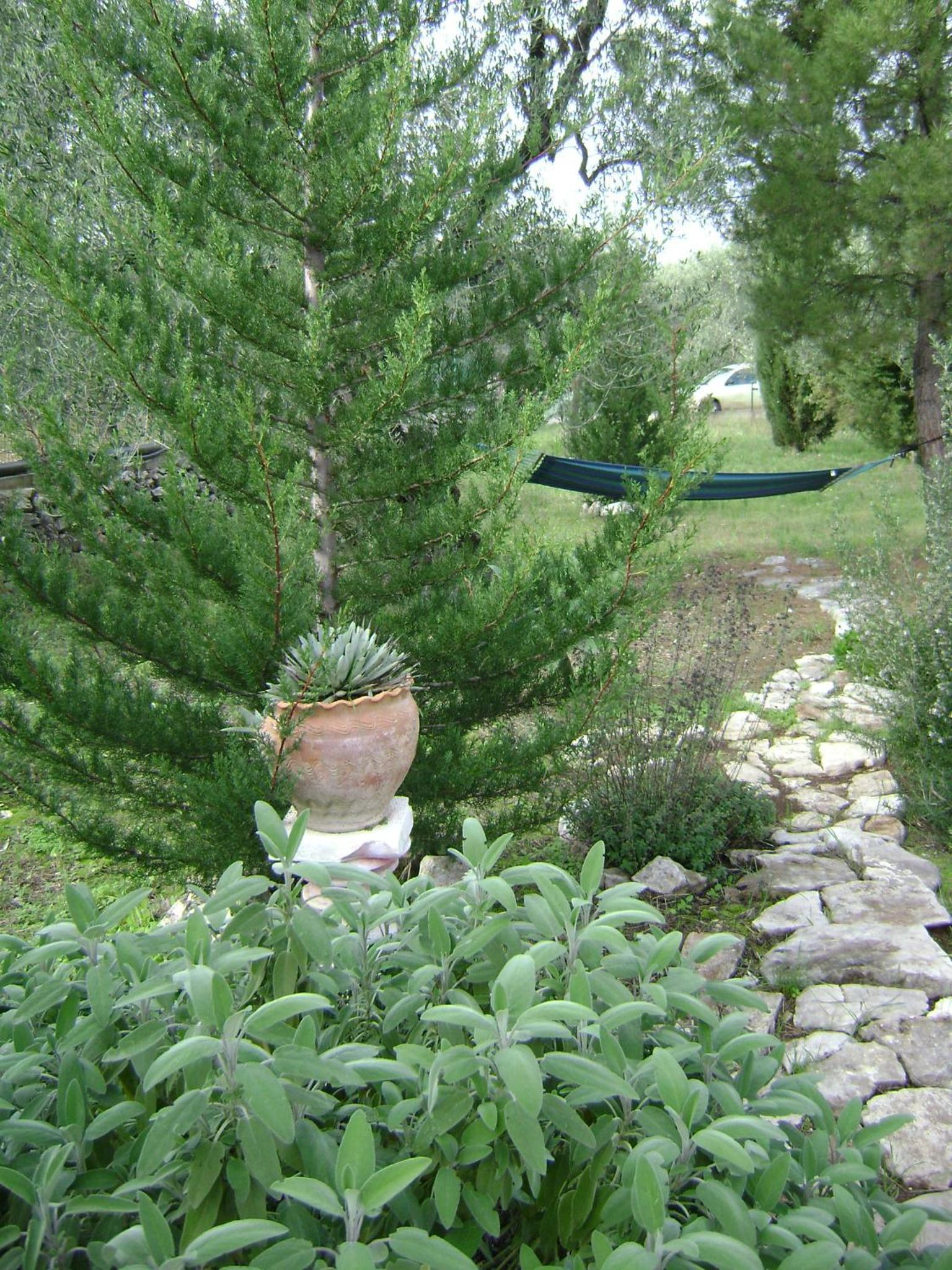 B&B Villa Mediterranea with private parking