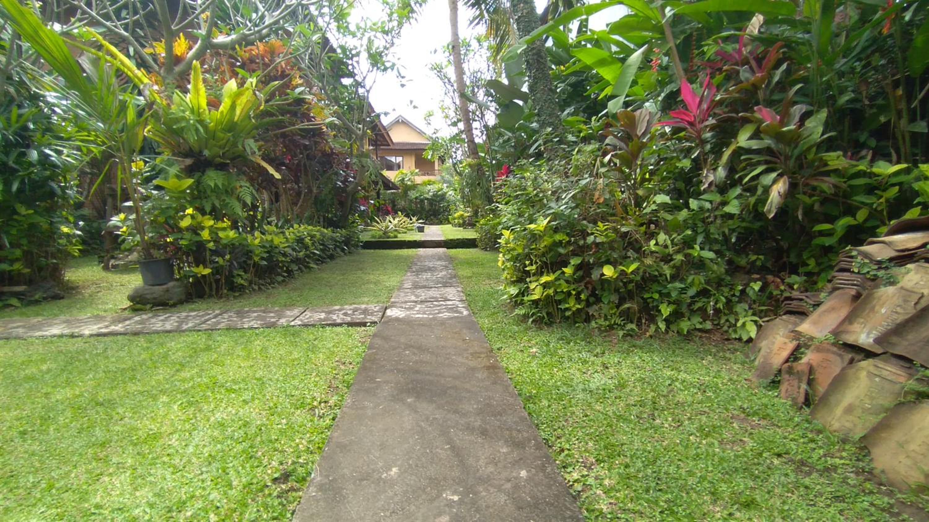 Rice paddy bungalow view 2