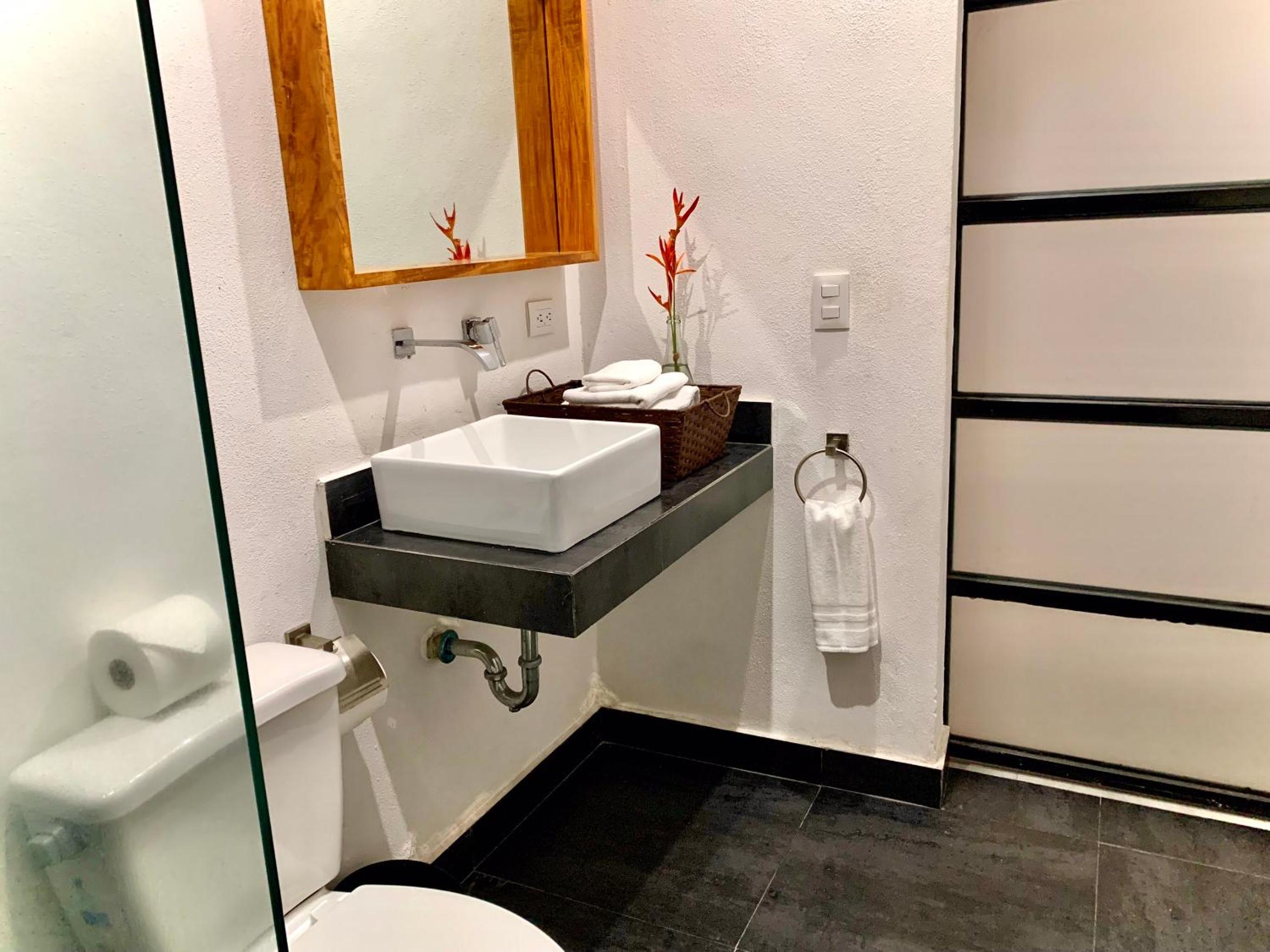 Pilitas Apartments Vallarta view 5