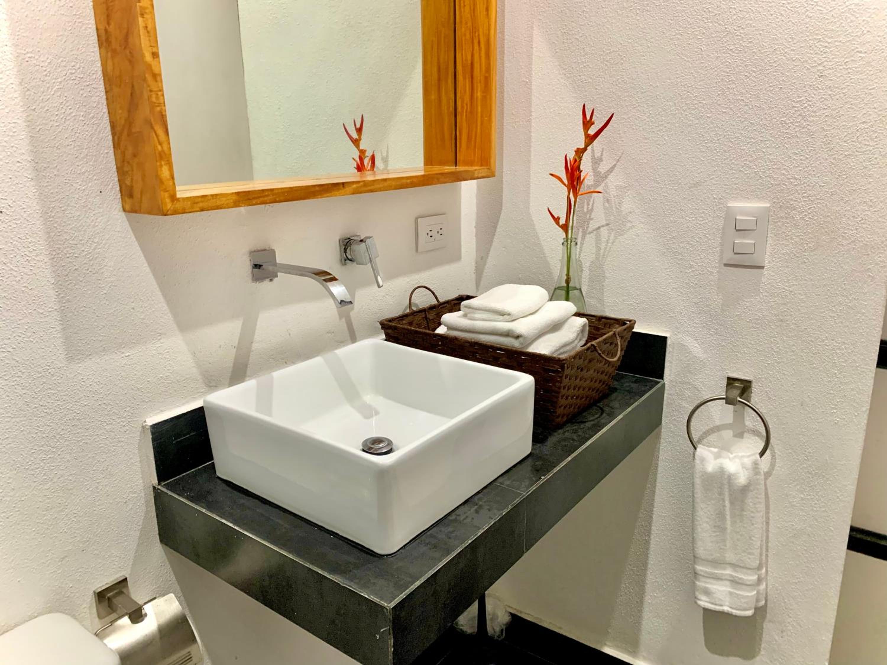 Pilitas Apartments Vallarta view 4