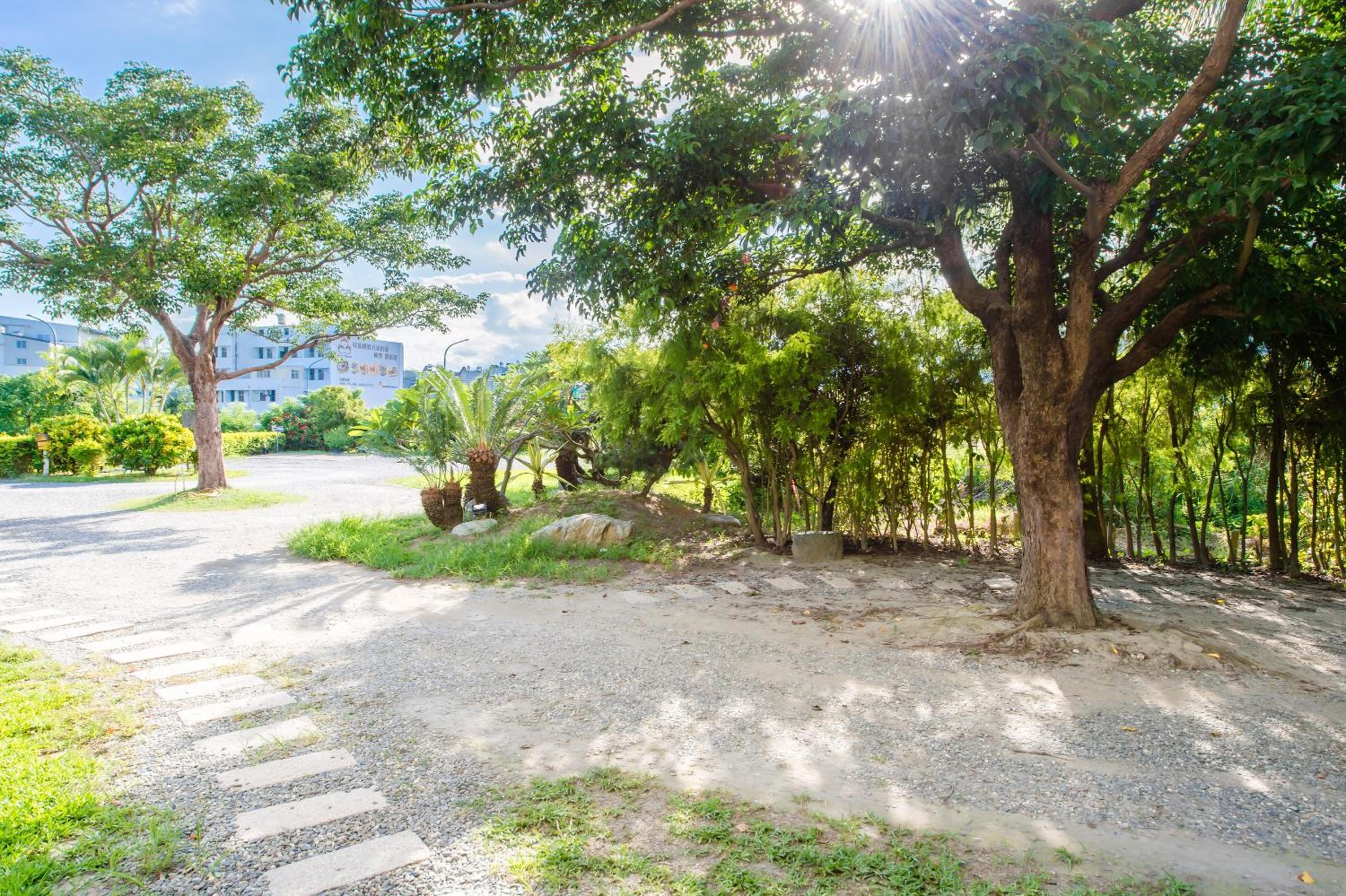 Summer Garden