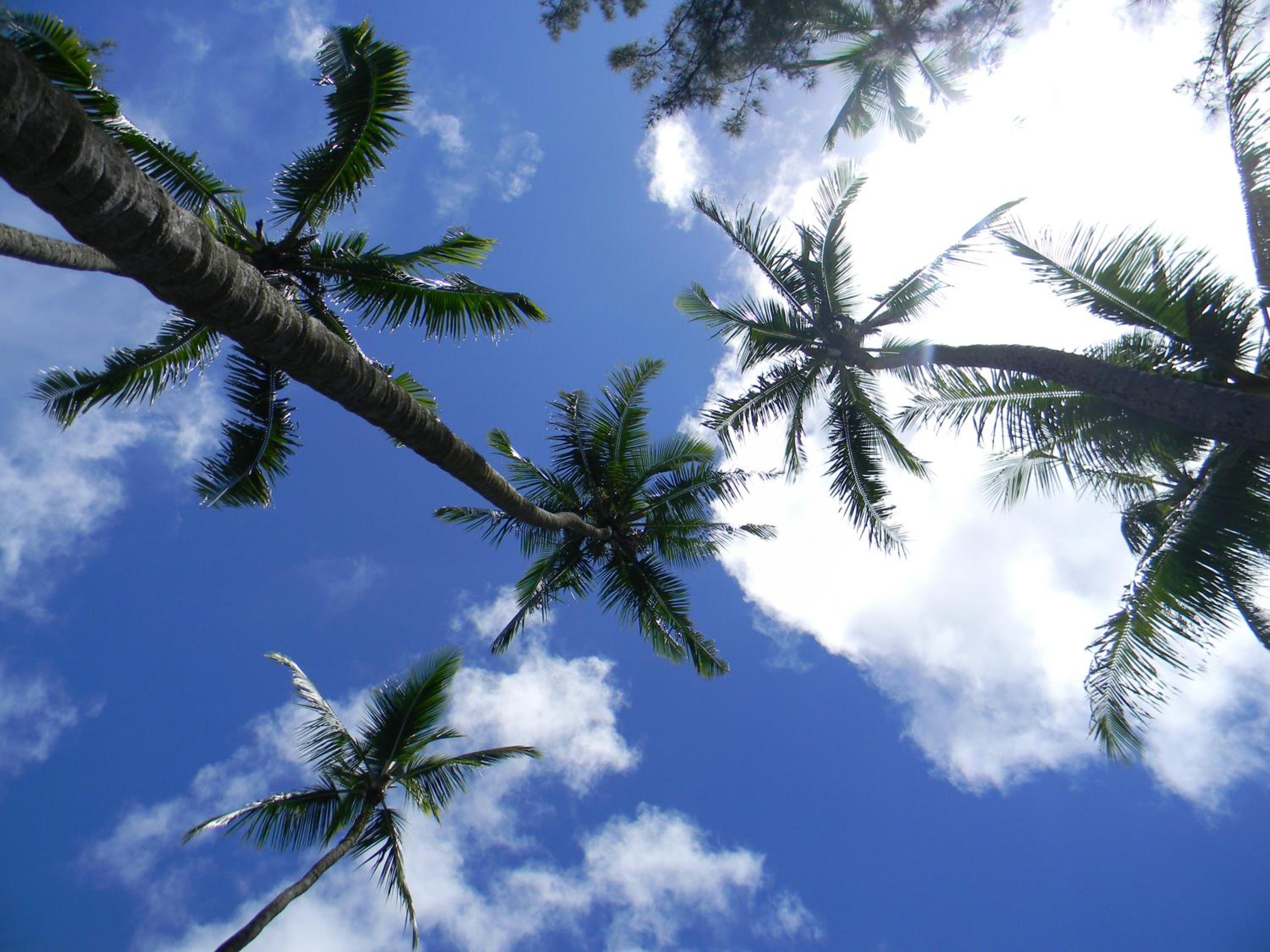 Island Goode's - Luxury Adult Only Accommodation near Hilo