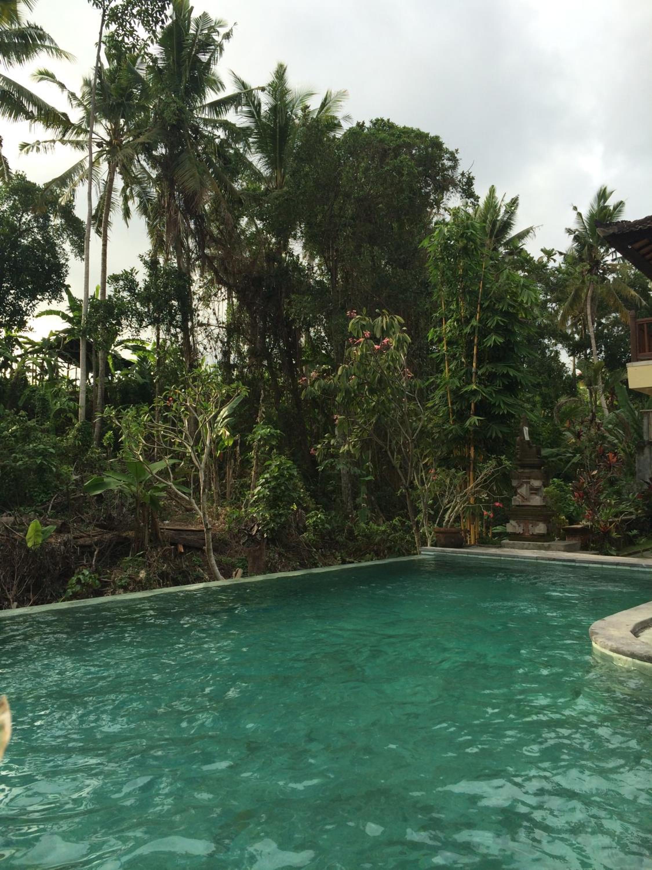 Raka Rai Bungalows view 4