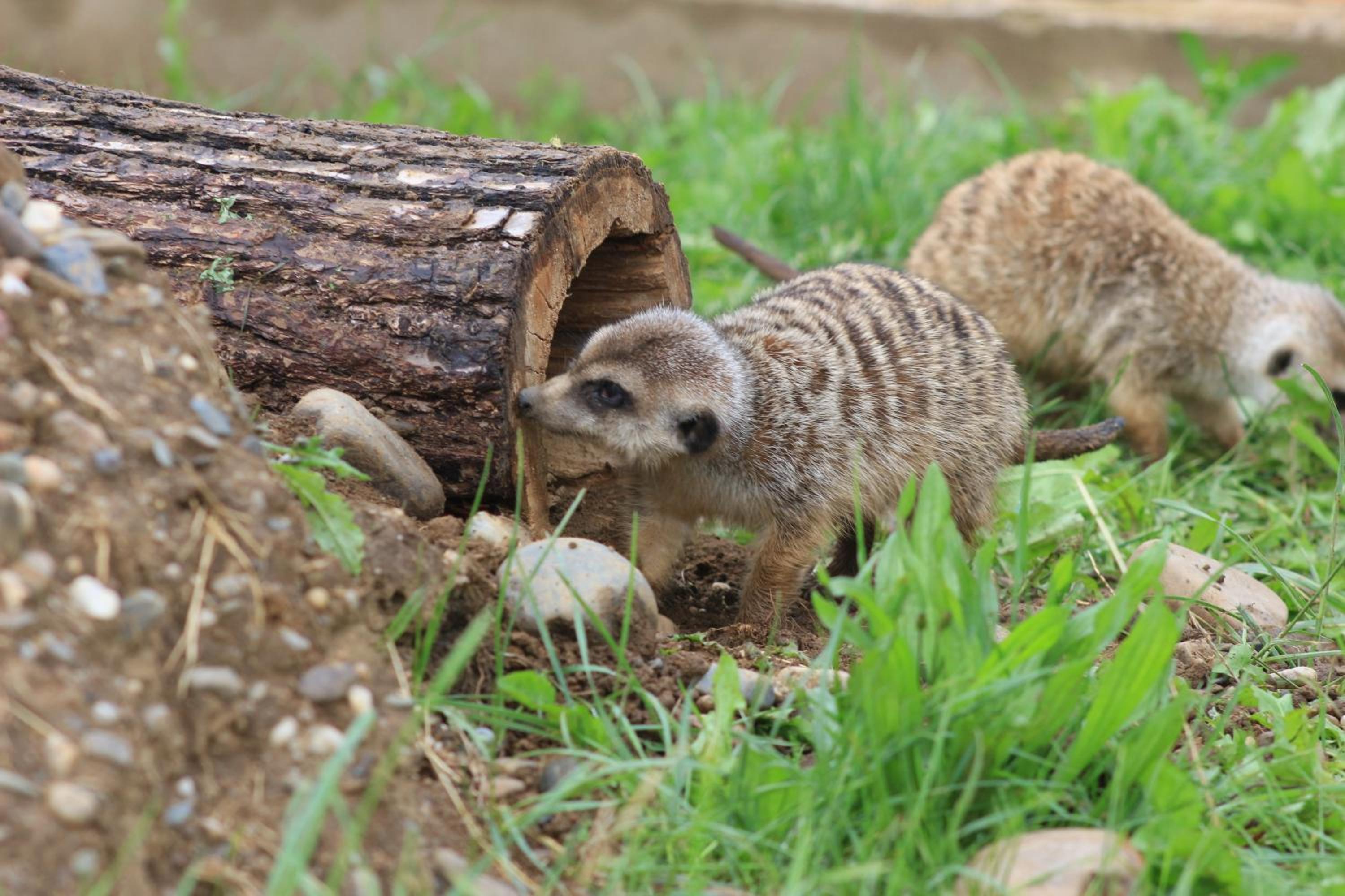 ZOOPARK Zelčín