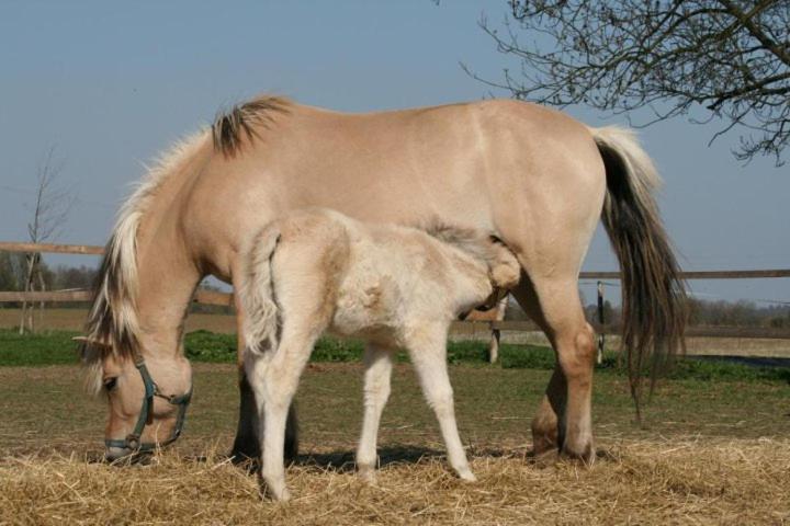 ZOOPARK Zelčín