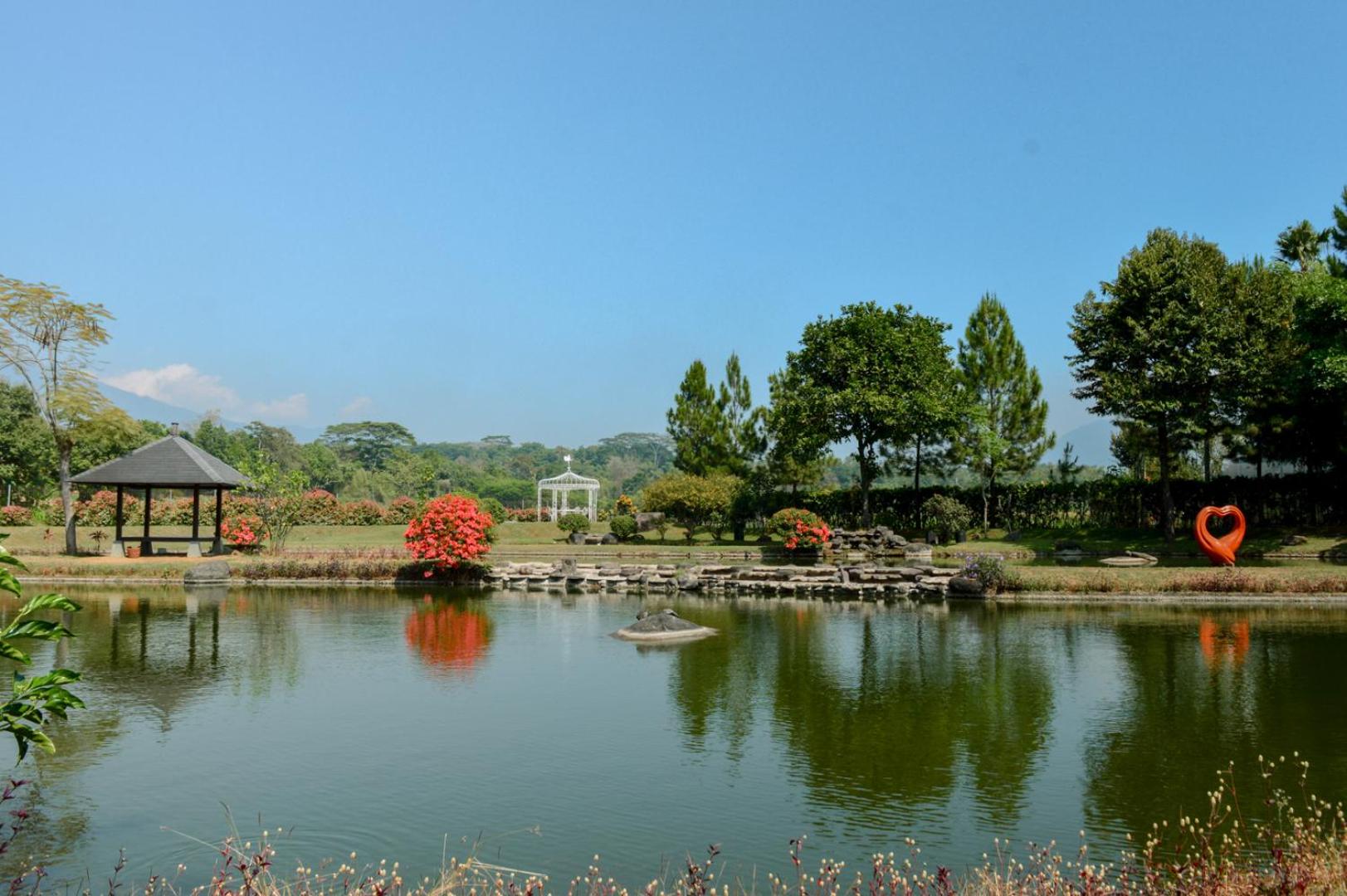 Photo 43