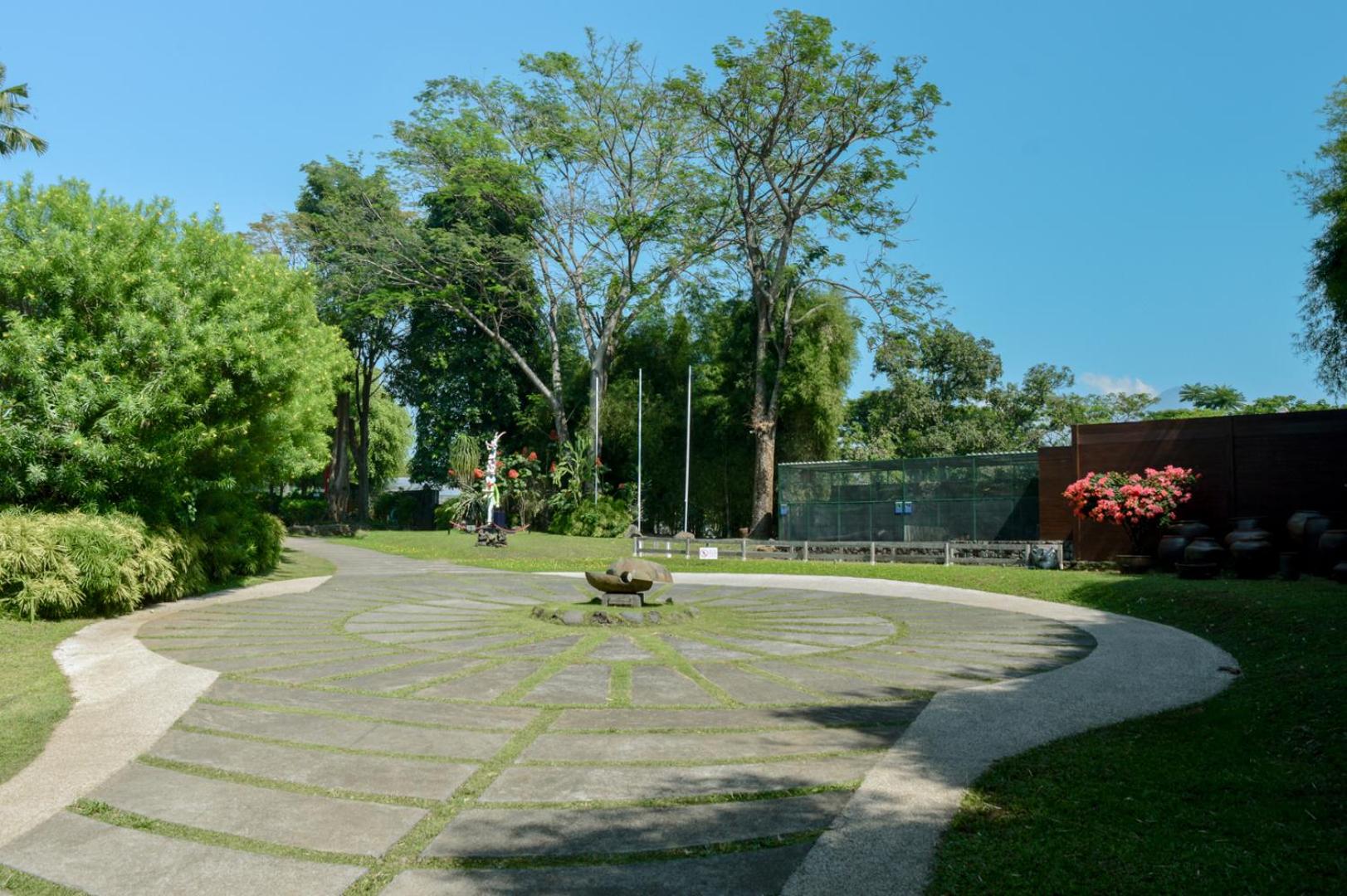 Photo 41