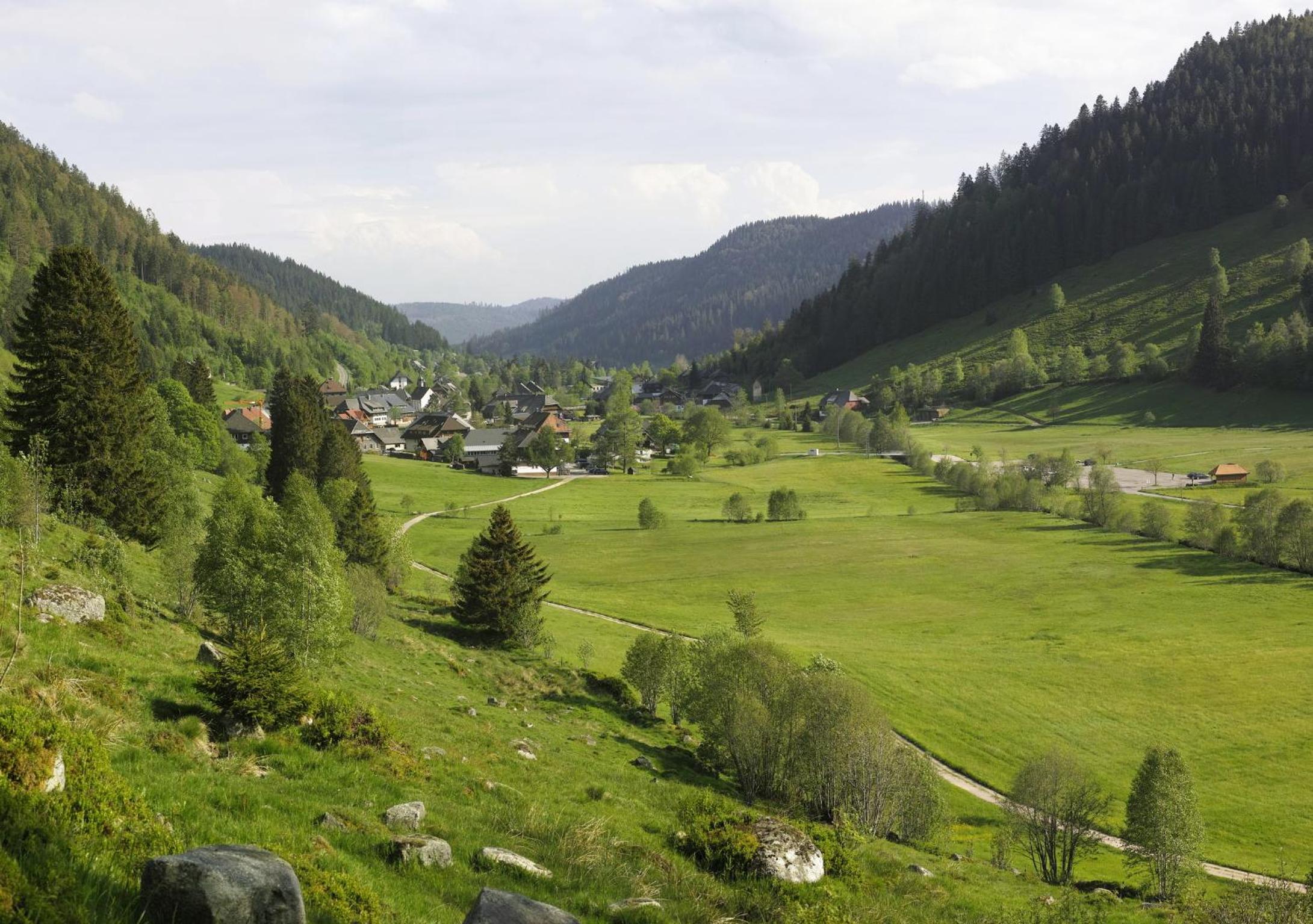 C2 Ferienwohnung im Schwarzwald 30m FerienwohnungApp für max 2 Personen