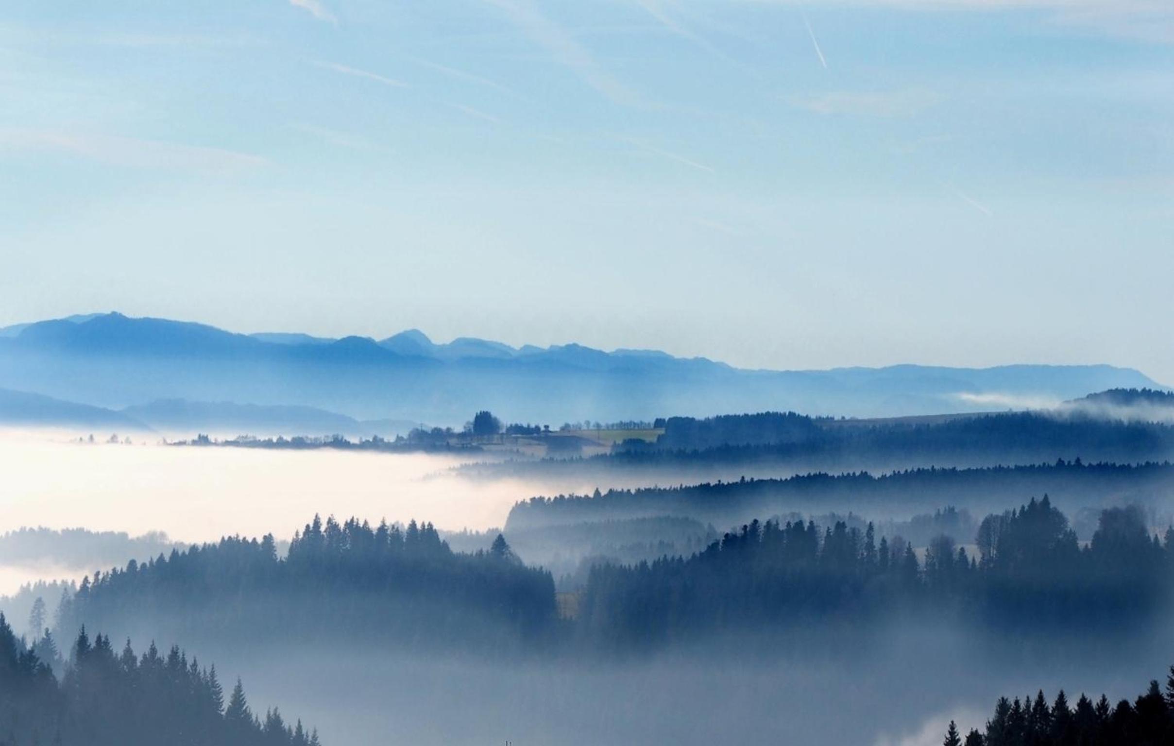 C2 Ferienwohnung im Schwarzwald 30m FerienwohnungApp für max 2 Personen