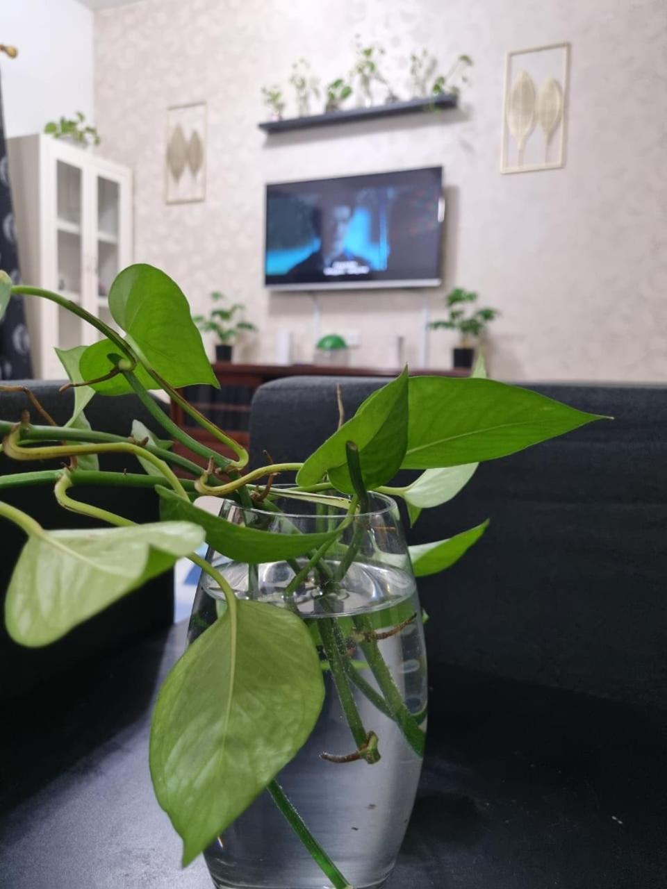 Photo 48