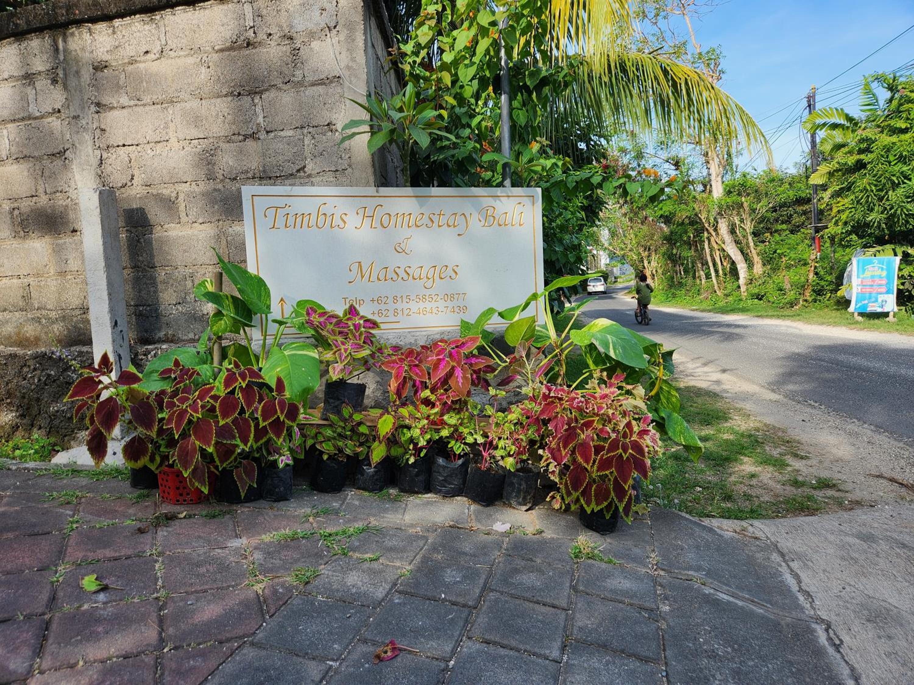 Timbis Homestay Bali
