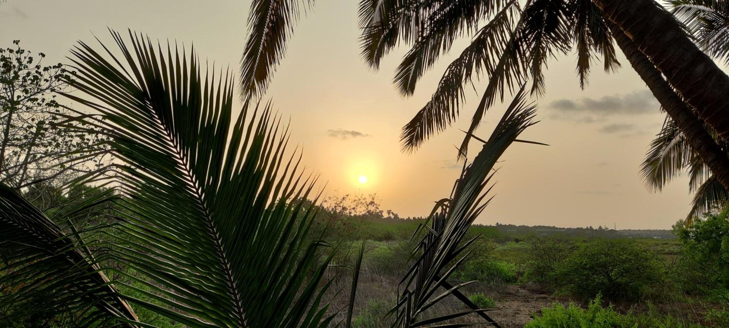 Bageecha B&B- Vaayu, photo 109