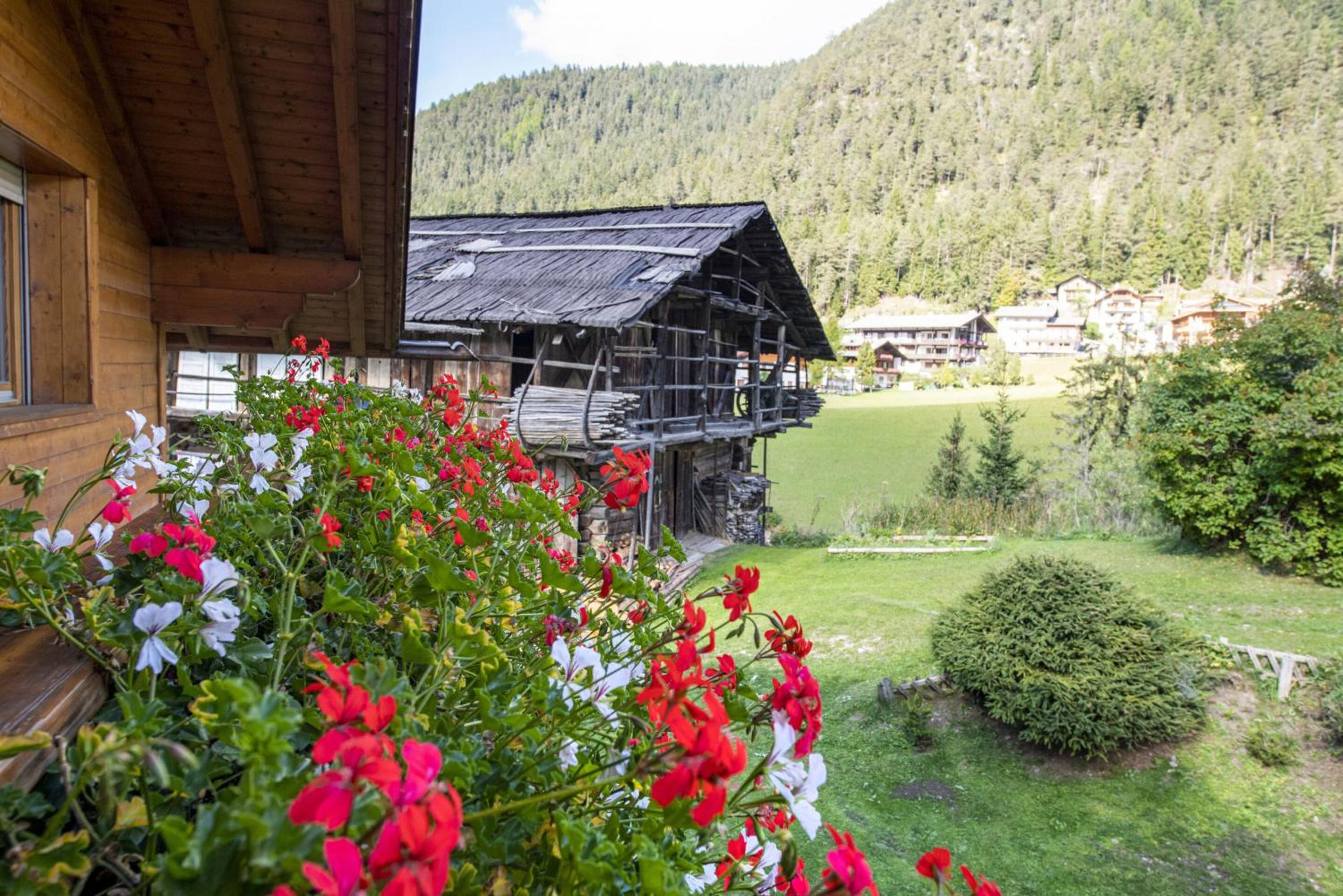 Apartments Culac