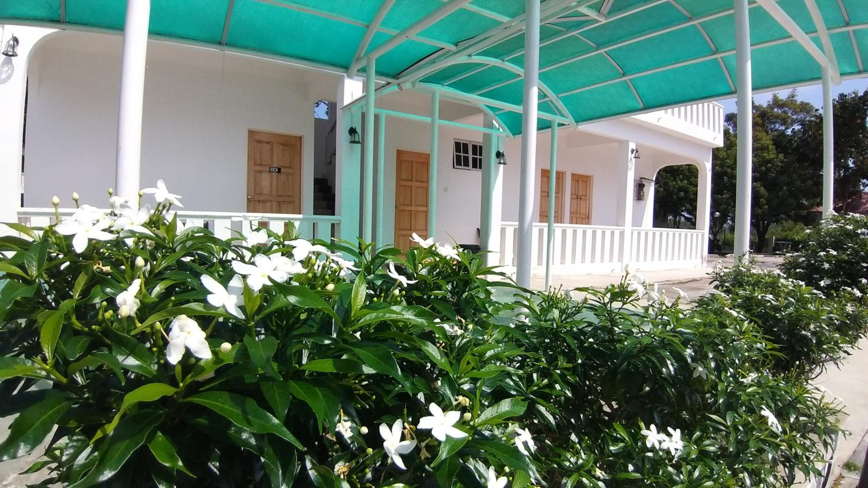 Photo 7
