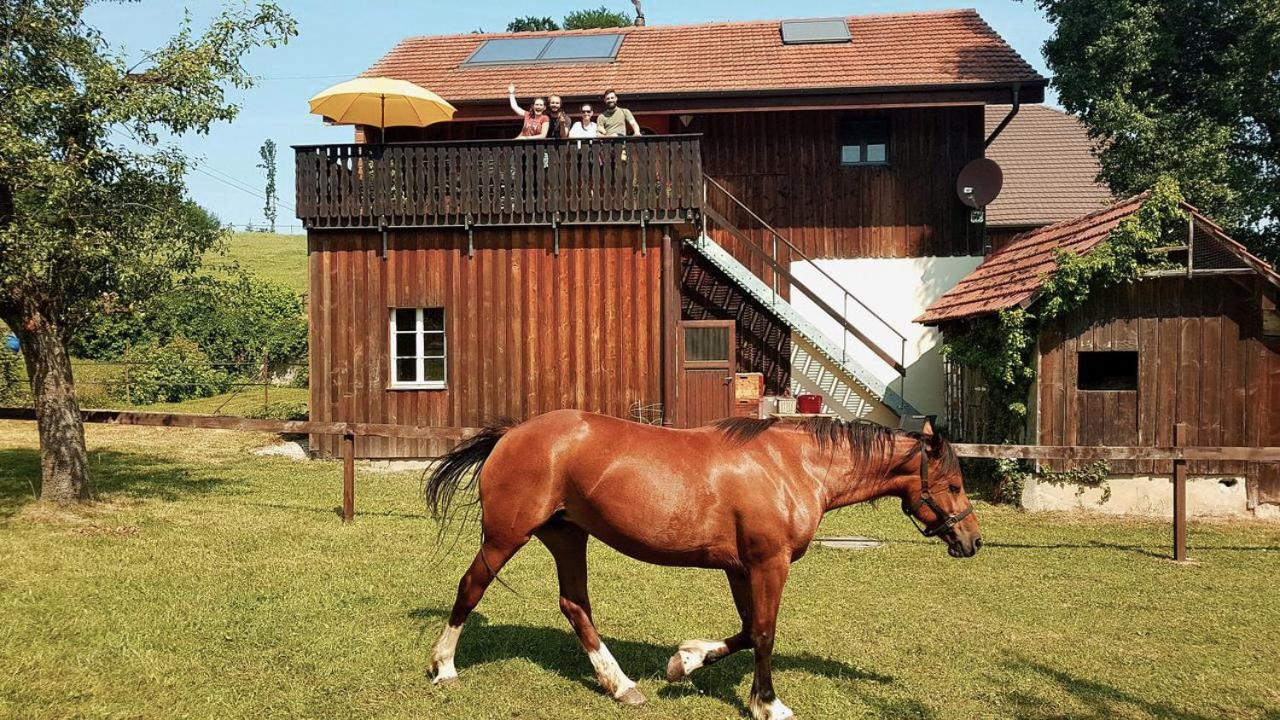 Guesthouse La Moliere, 3 bedrooms, private house, horse farm, full nature