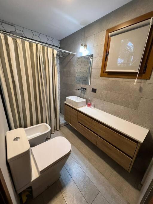 Alberti Apartment