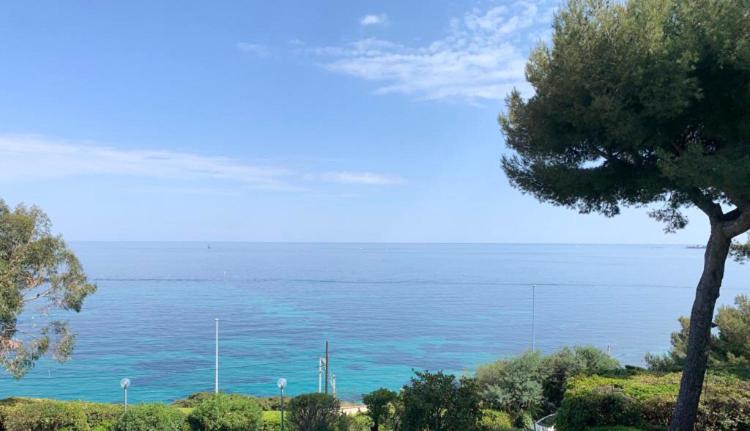 Villa Cannes directly on the sea photo 3