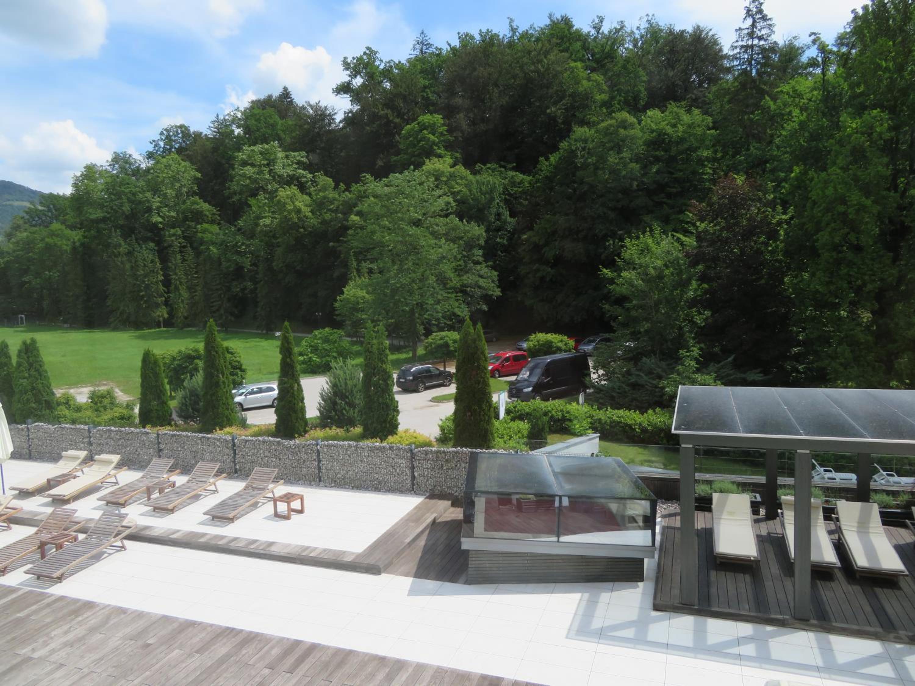 Peony view 3