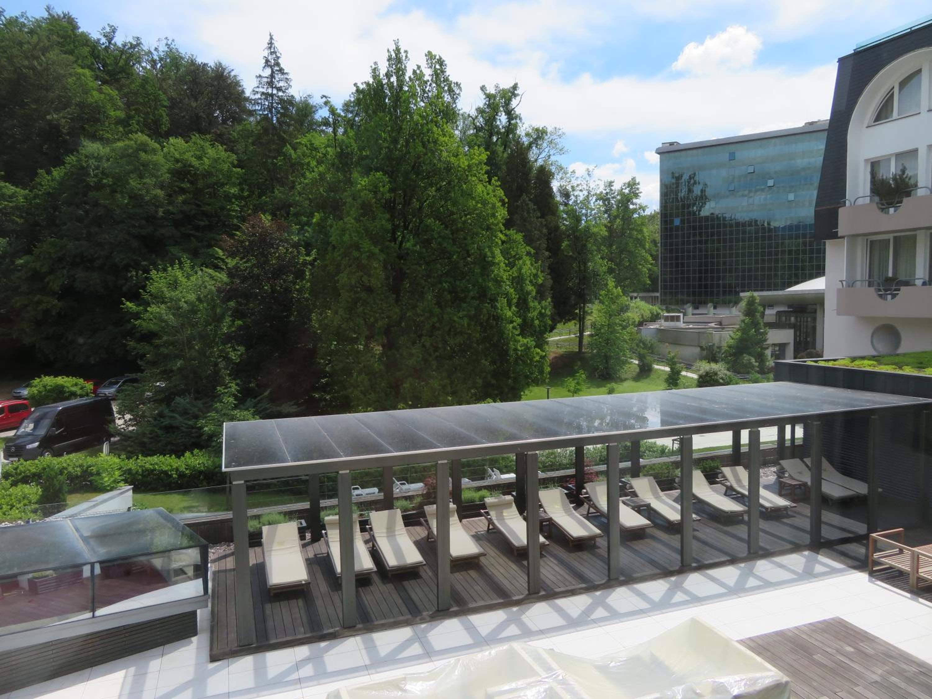 Peony view 4