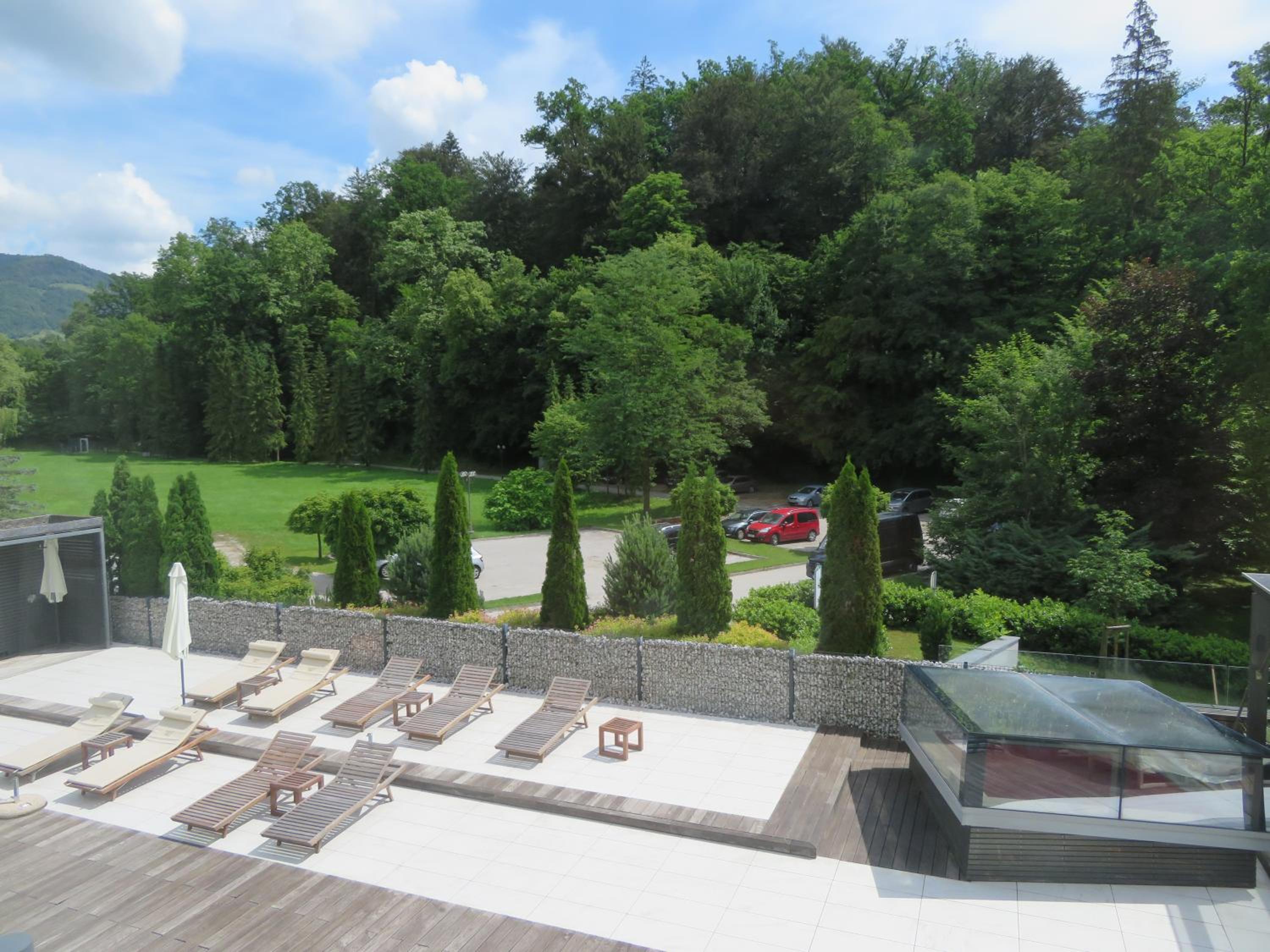 Peony view 5