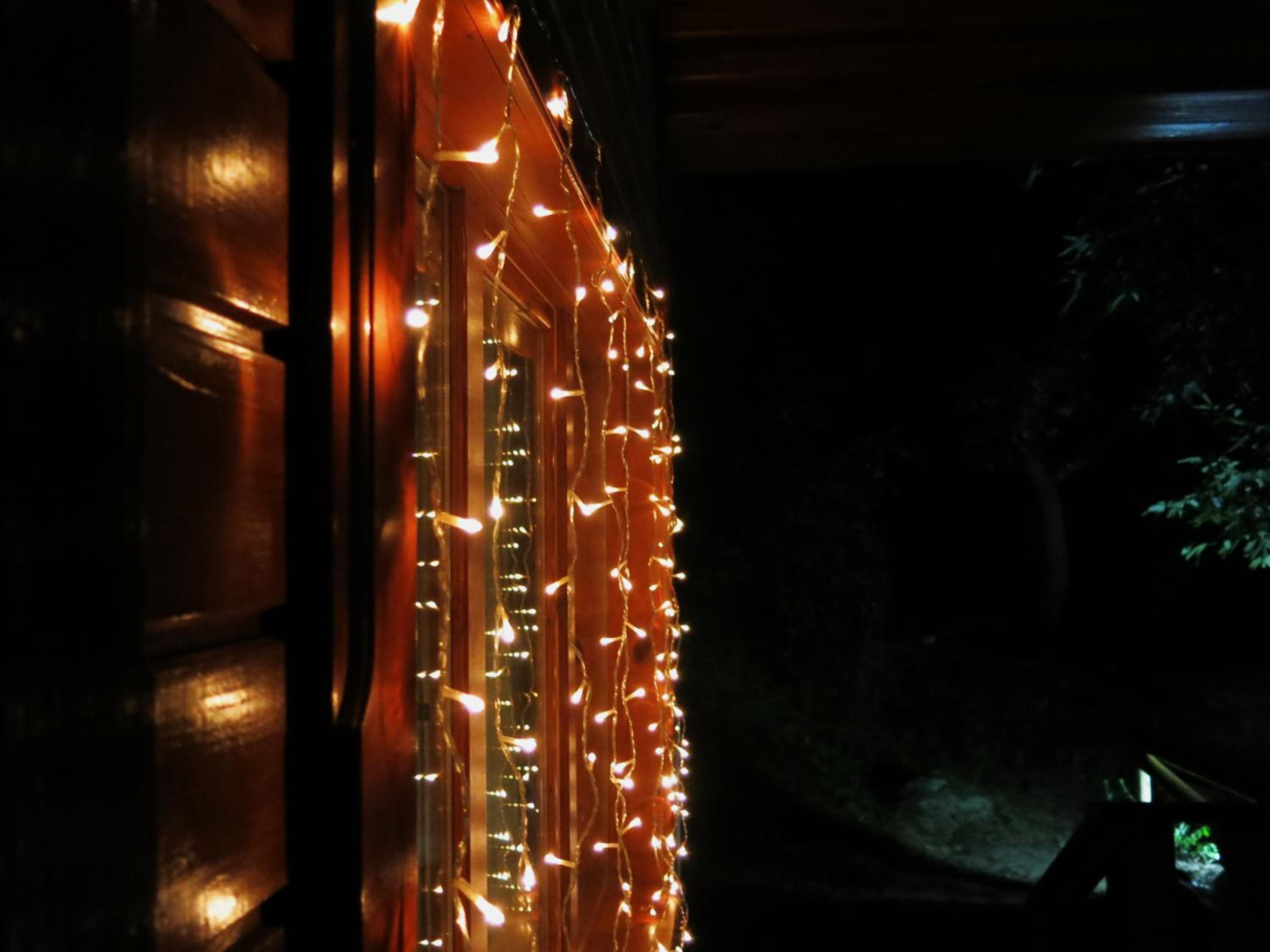 Photo 44