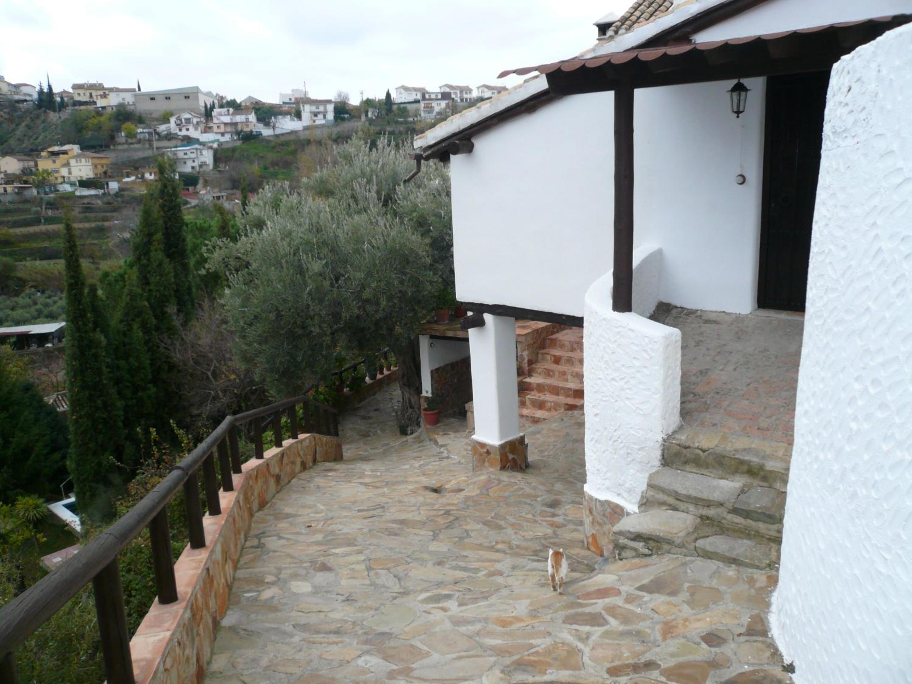 Photo 45