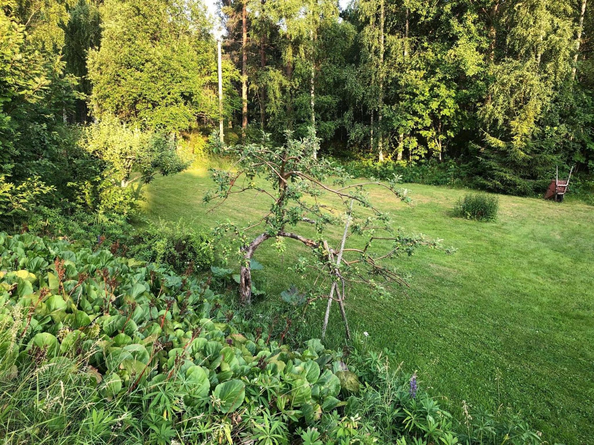 Photo 49