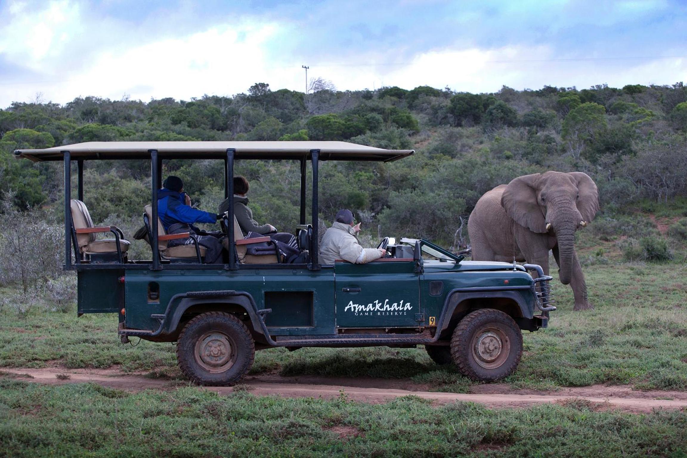 Bush Lodge – Amakhala Game Reserve view 5