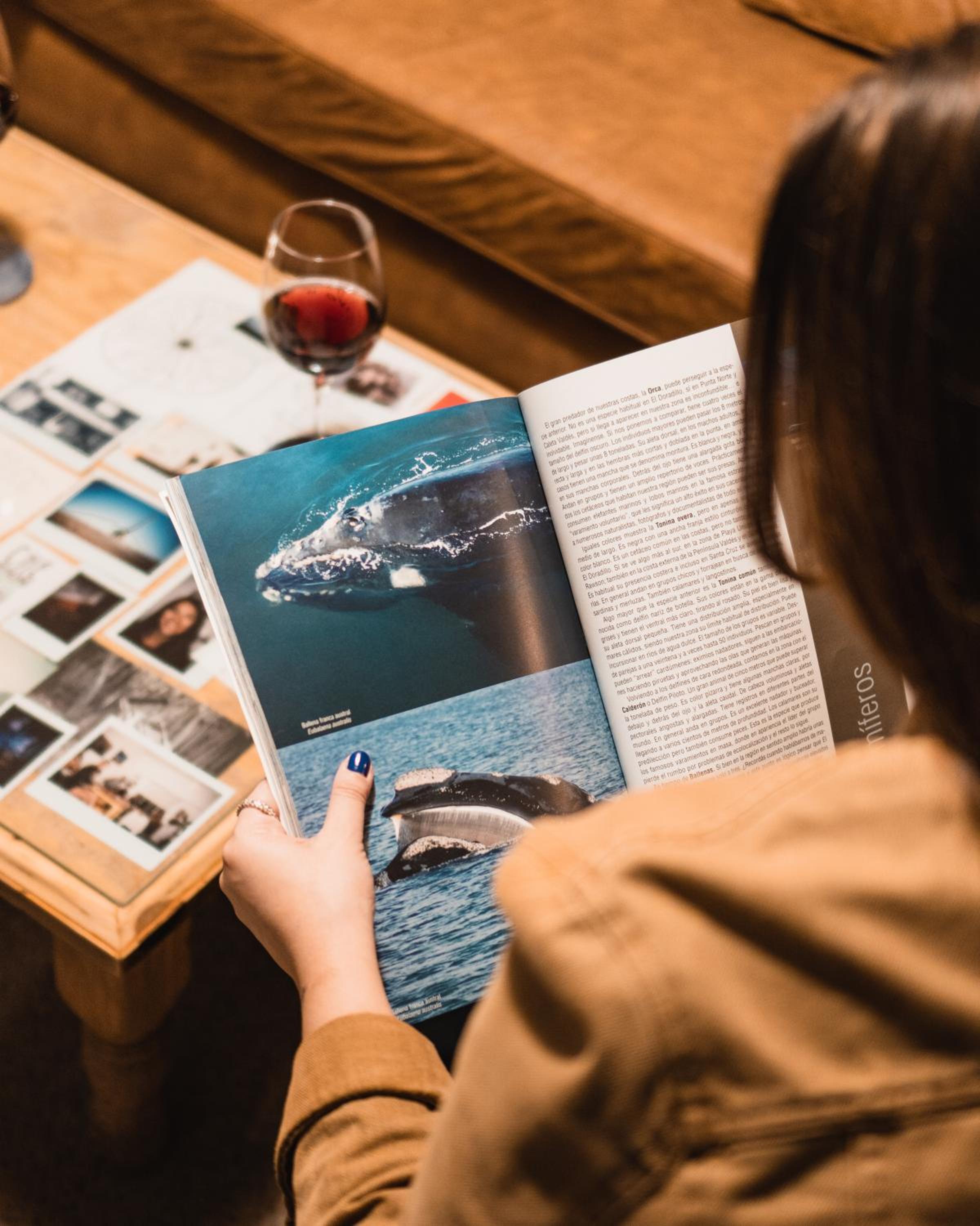 Chepatagonia Hostel & Experiences