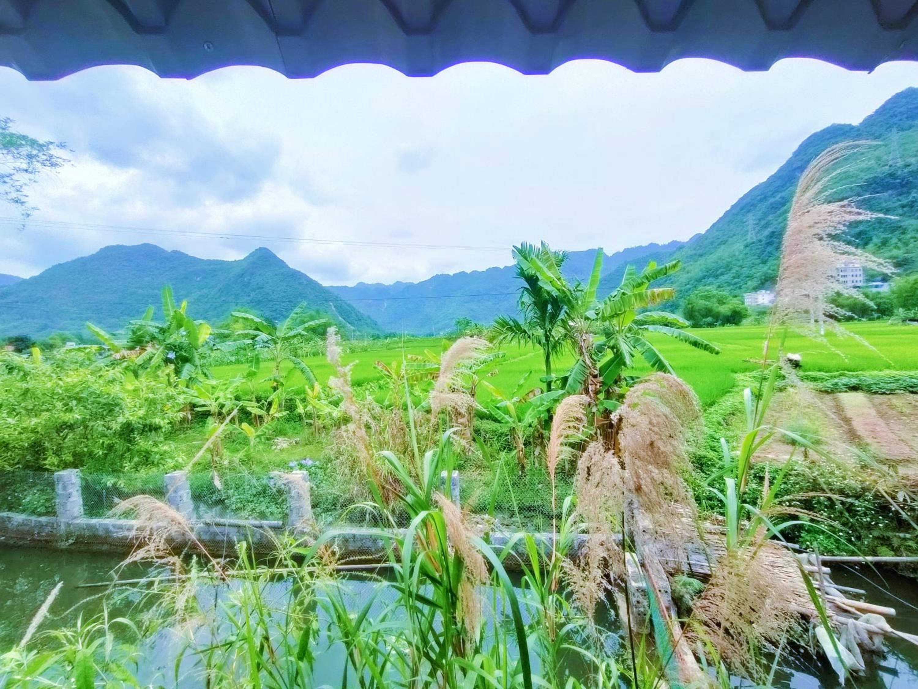 Photo 22