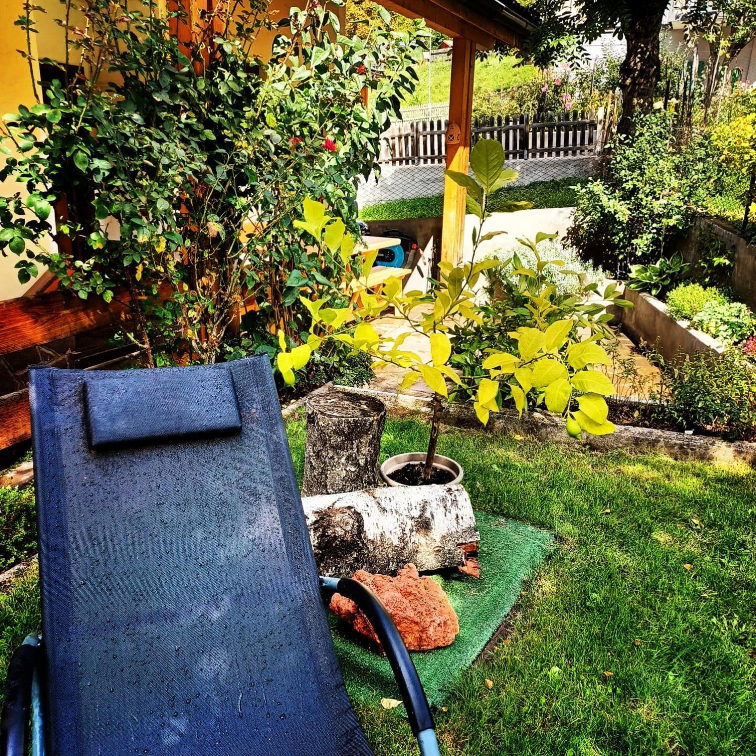 Photo 52