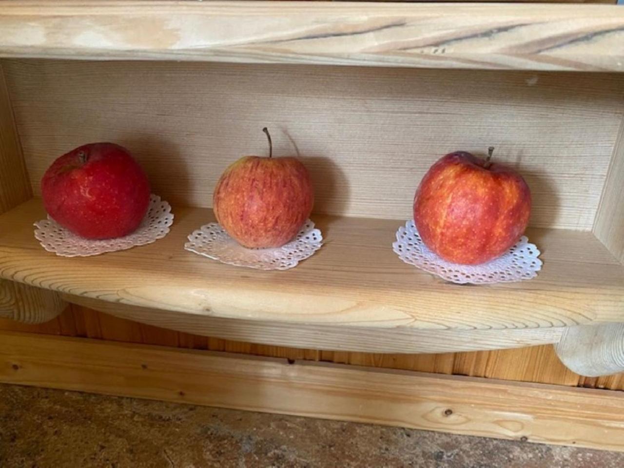 Alpenappartements Schwalbennestl