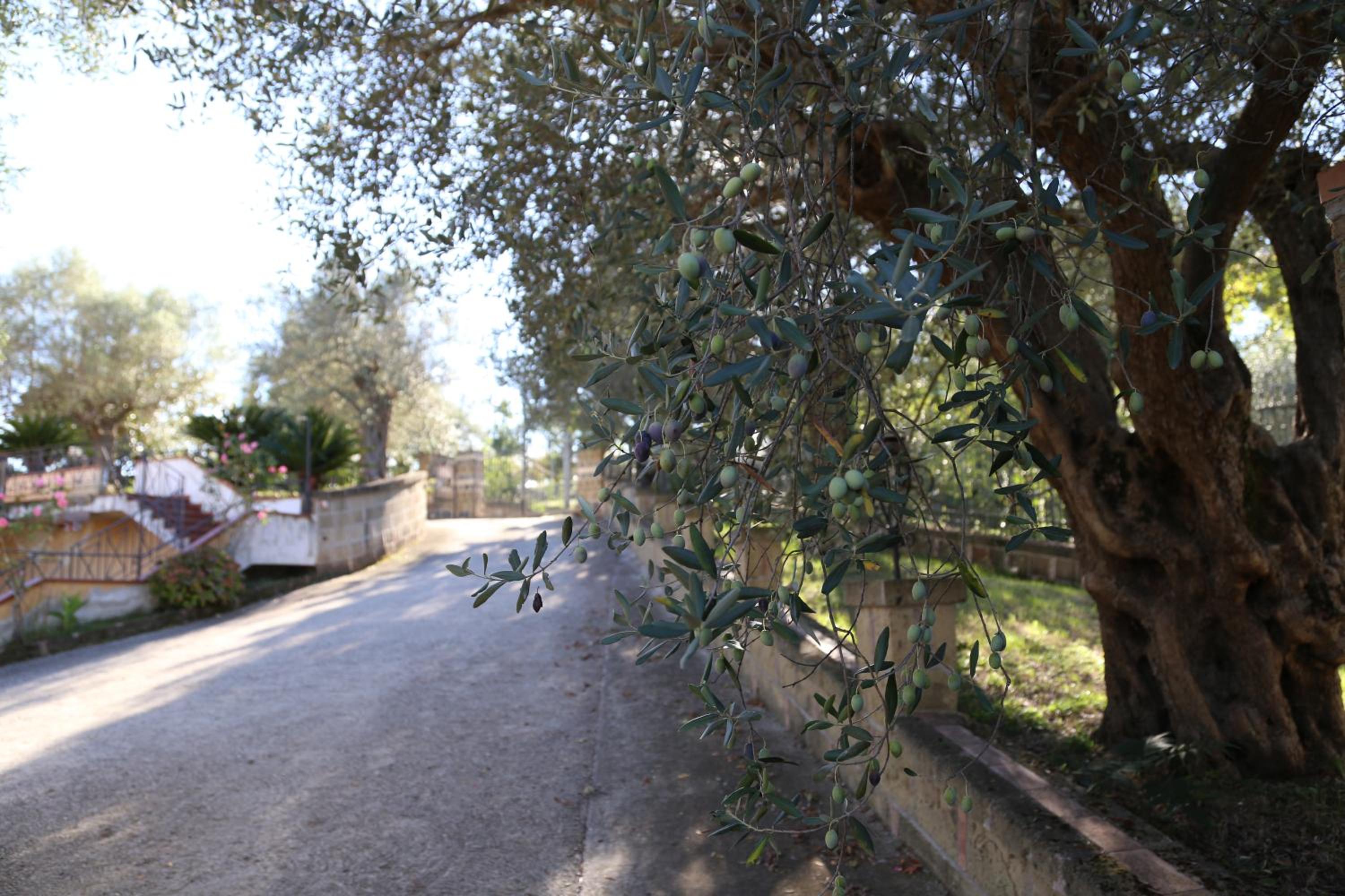 Photo 48
