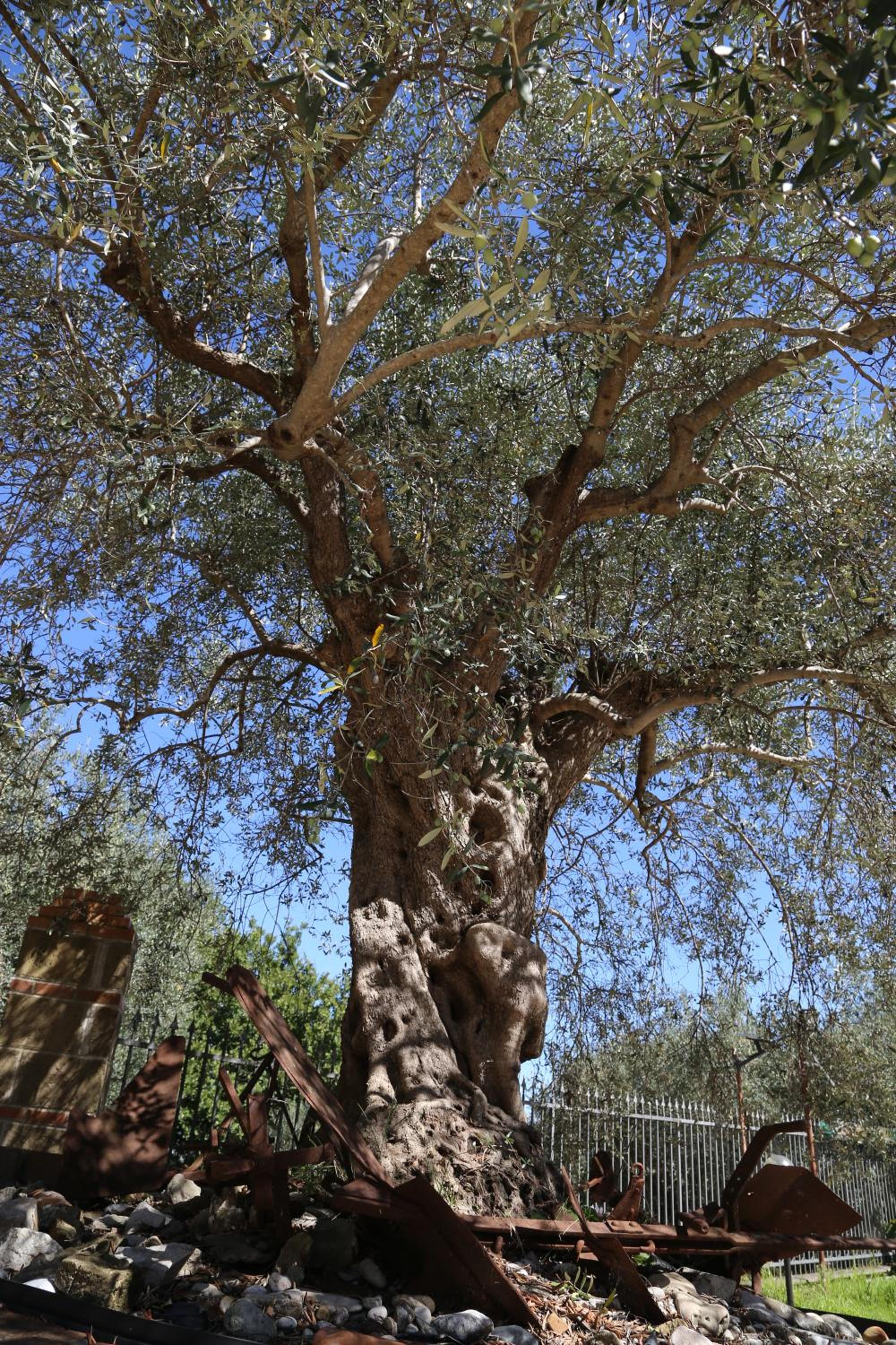 La Masseria PietraMarmo Caiazzo - App to con vista view 2