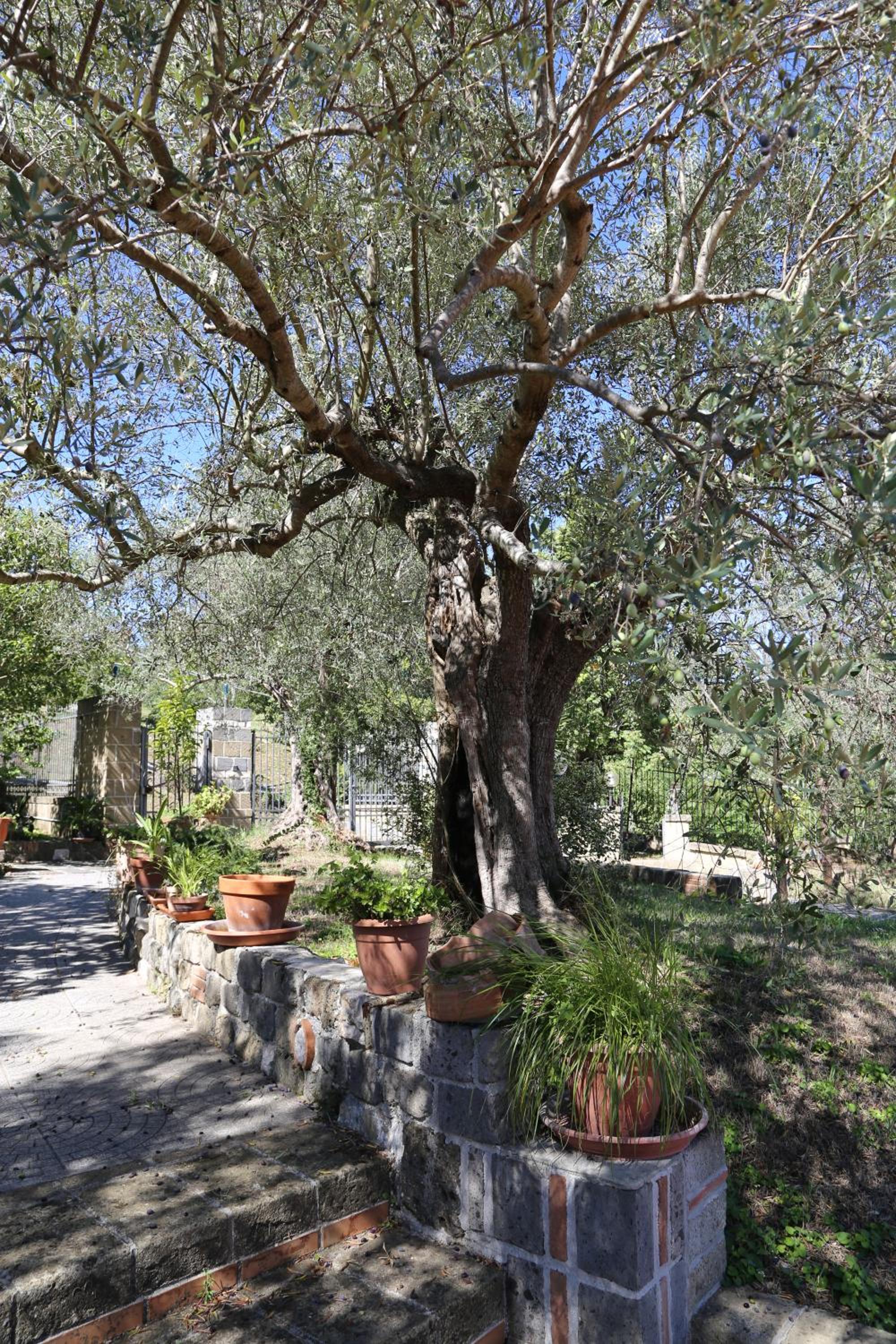 La Masseria PietraMarmo Caiazzo - App to con vista view 3