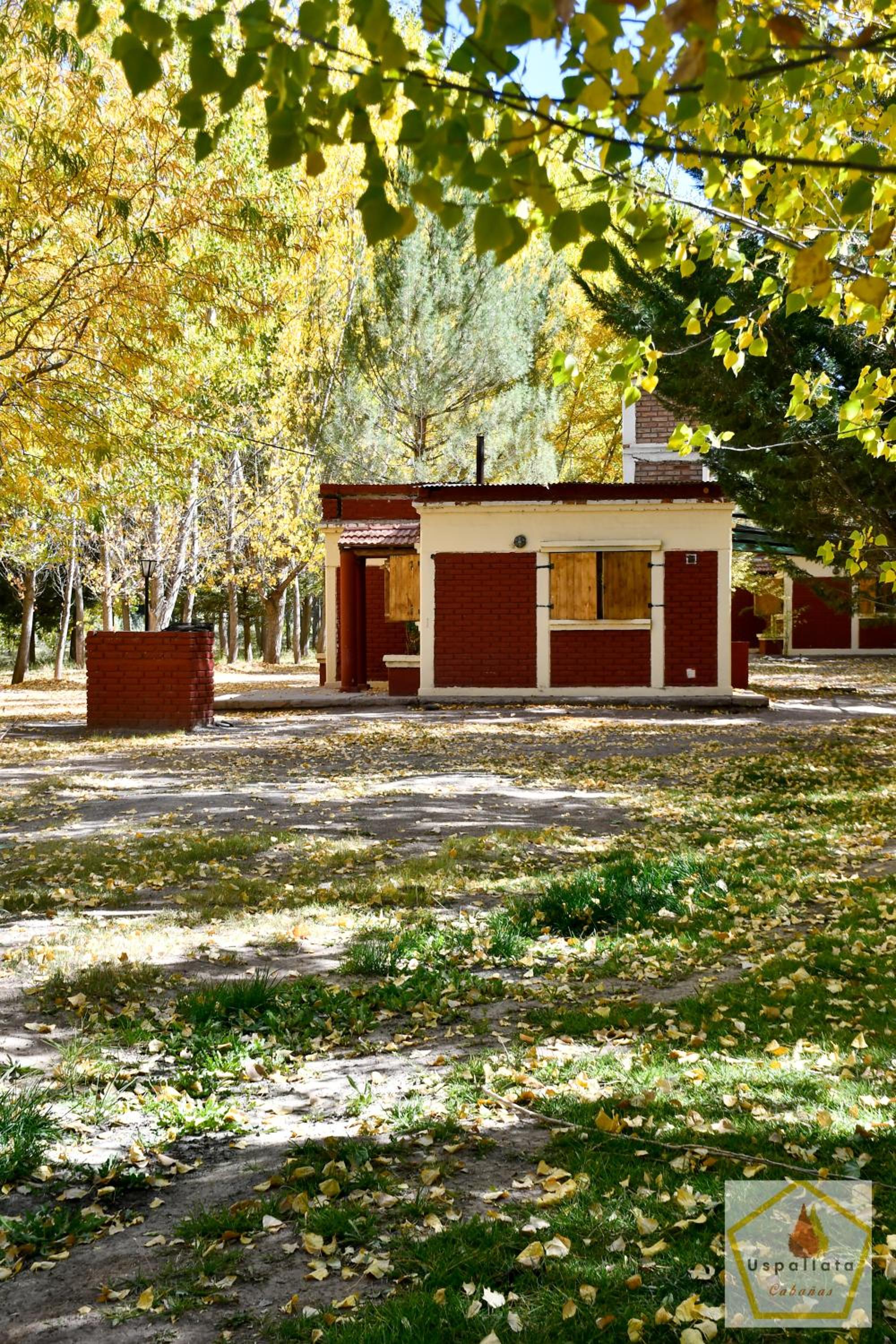 Cabañas Uspallata