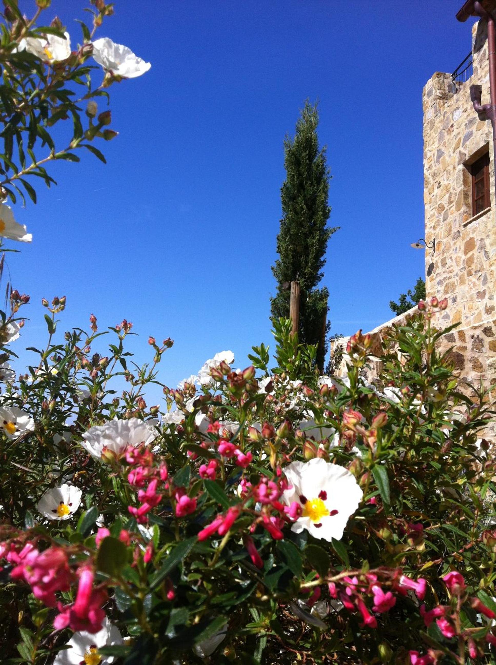 Castel Brunello