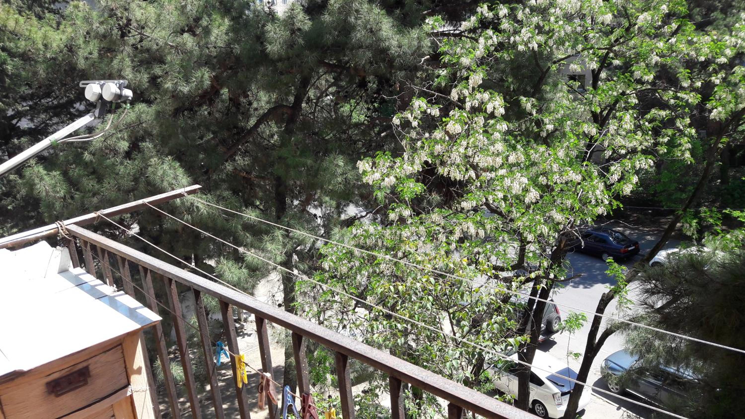 Kandelaki view 5
