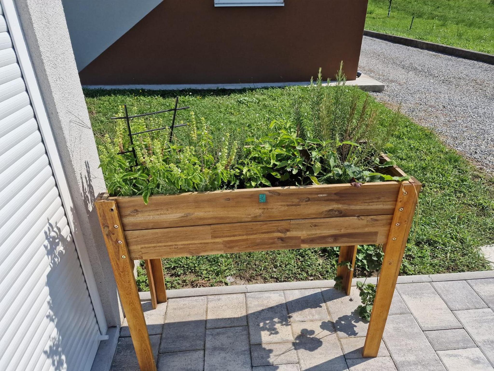 Photo 9