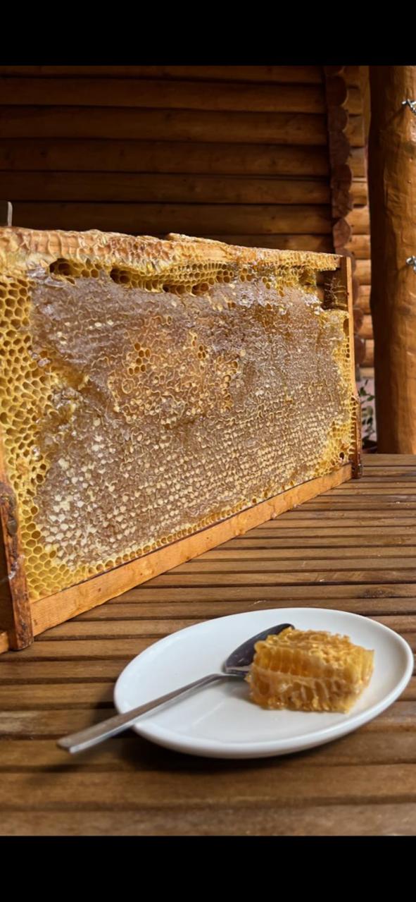 Photo 41