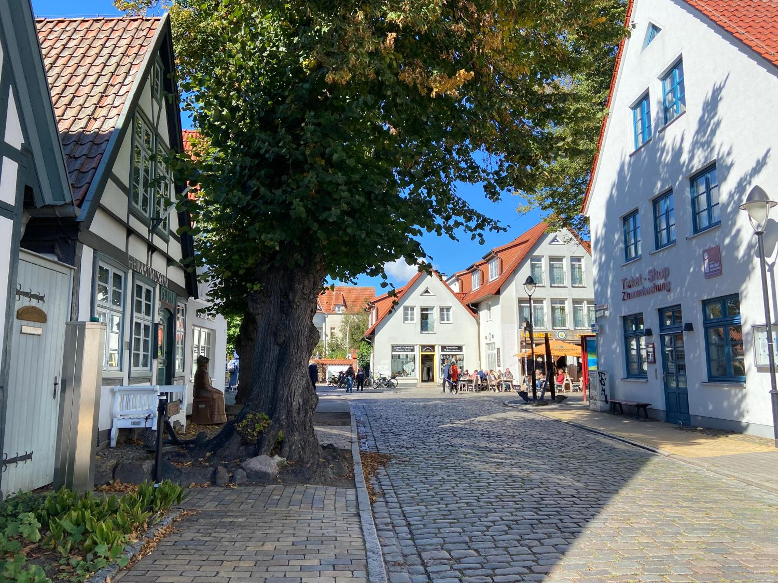 Birnbom Warnemünde