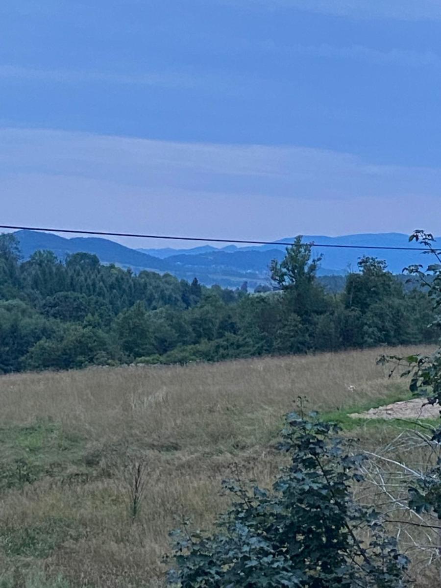 Andrzejówka view 2