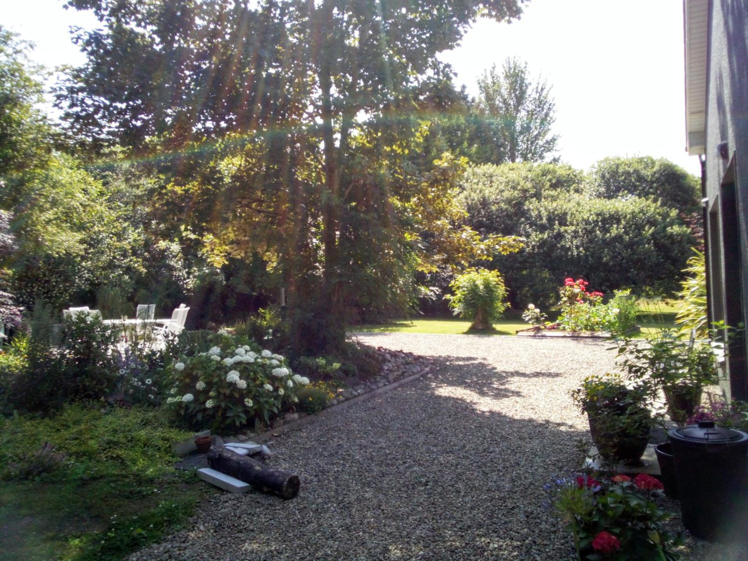 Photo 29