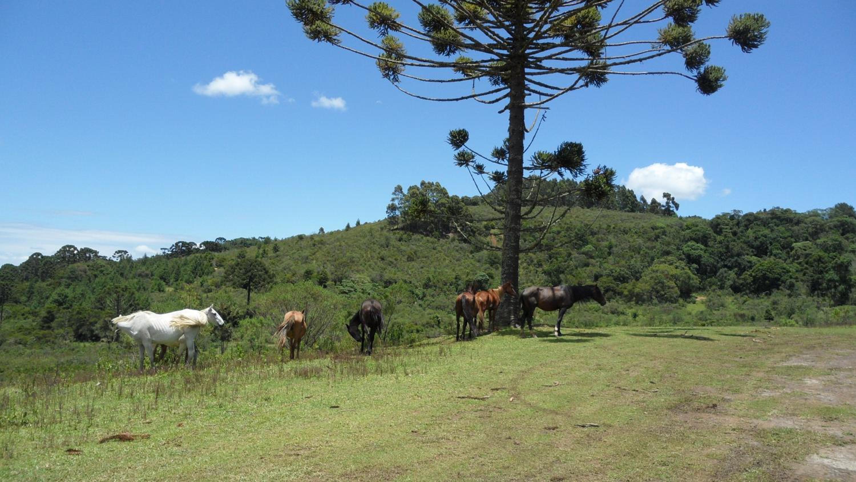 Casa Vista Bela
