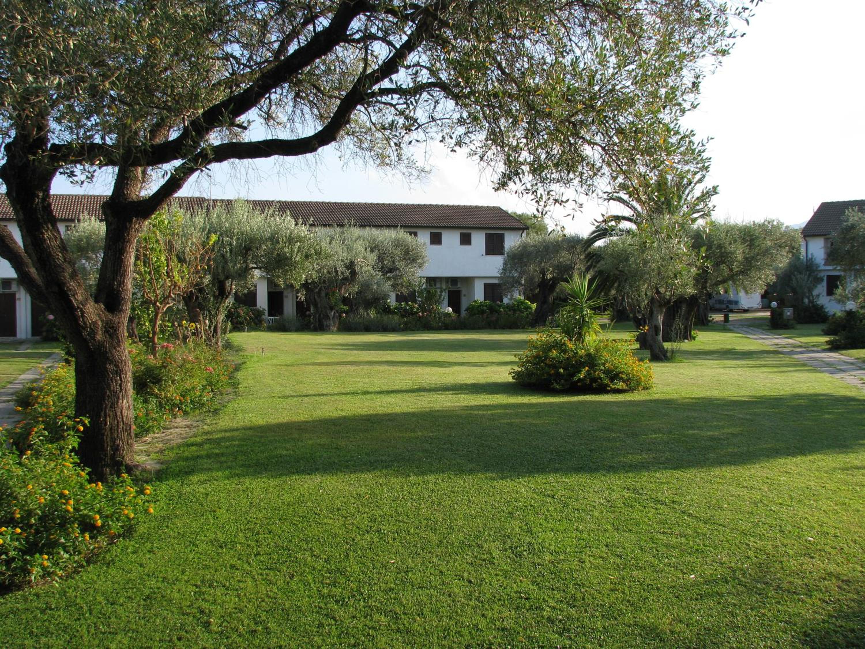 Nausicaa Village