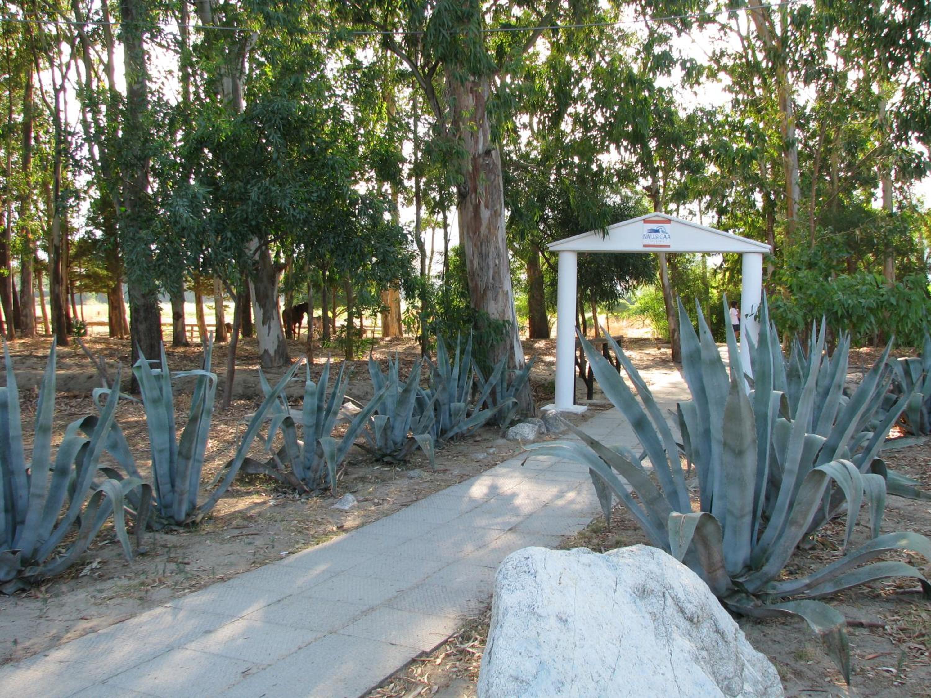 Nausicaa Village