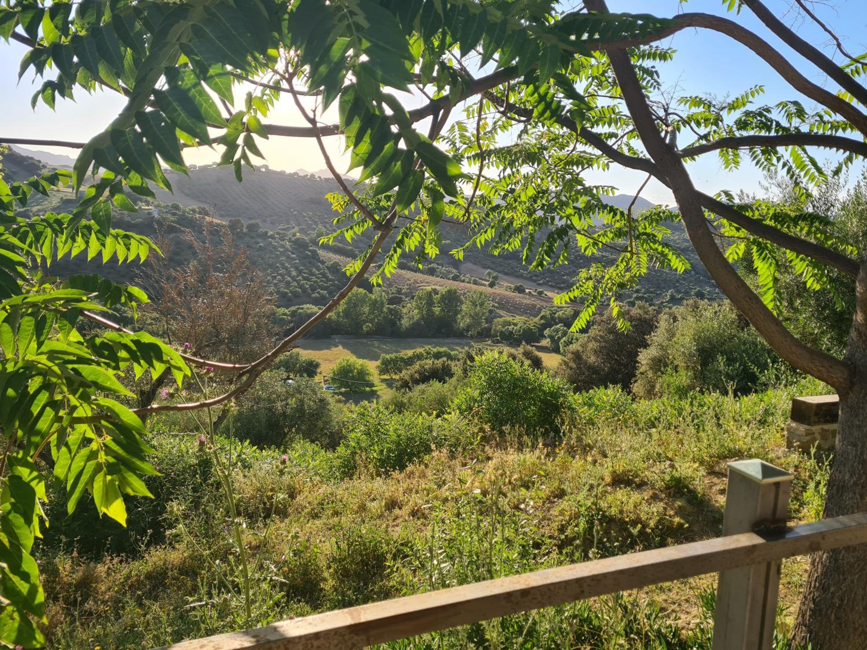 La casita de madera Sijuela