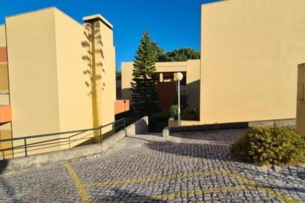 SolTroia - Casa do Pinheiro view 4