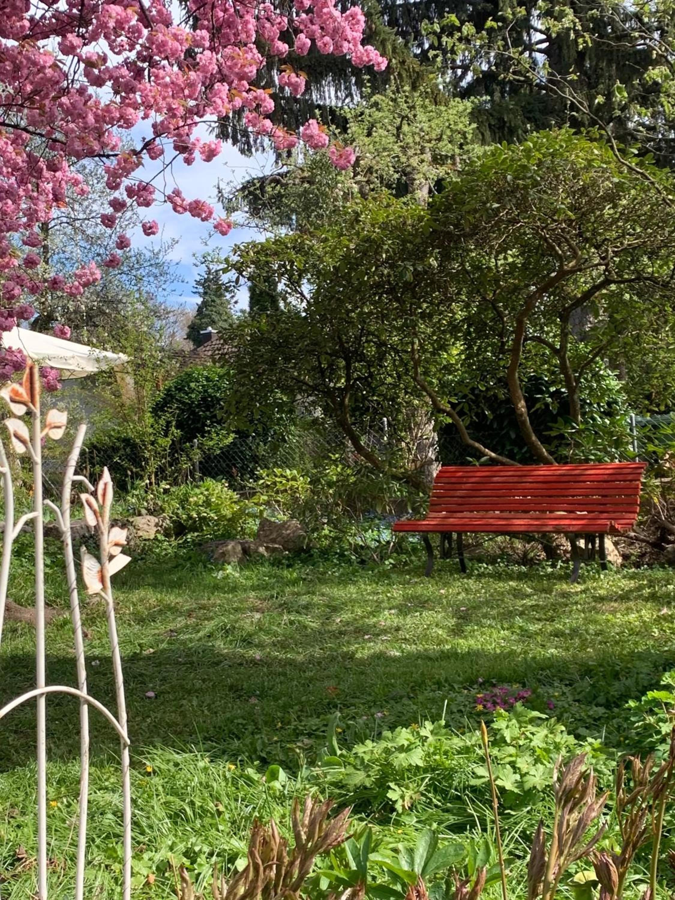 au jardin