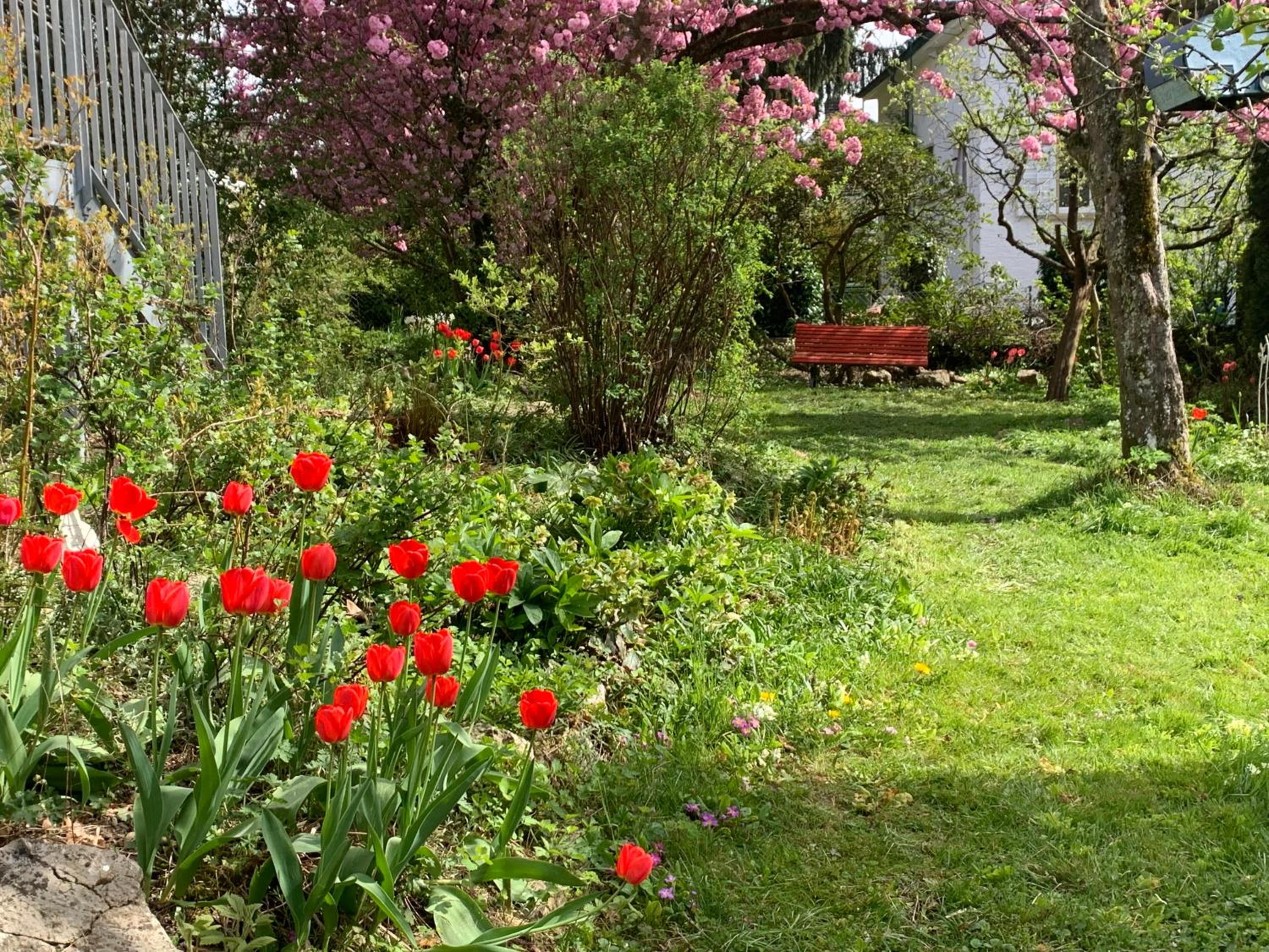au jardin